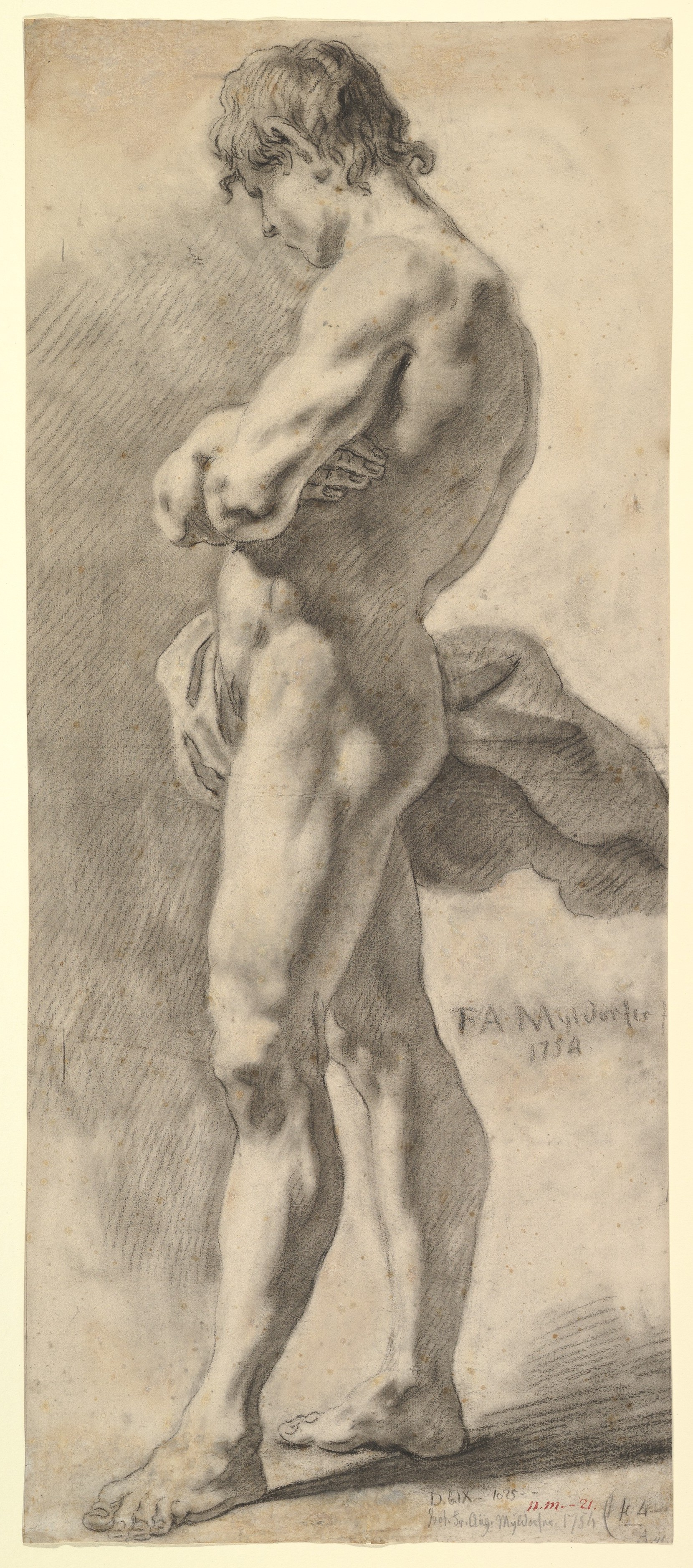 Standing Male Nude Figure Sketch