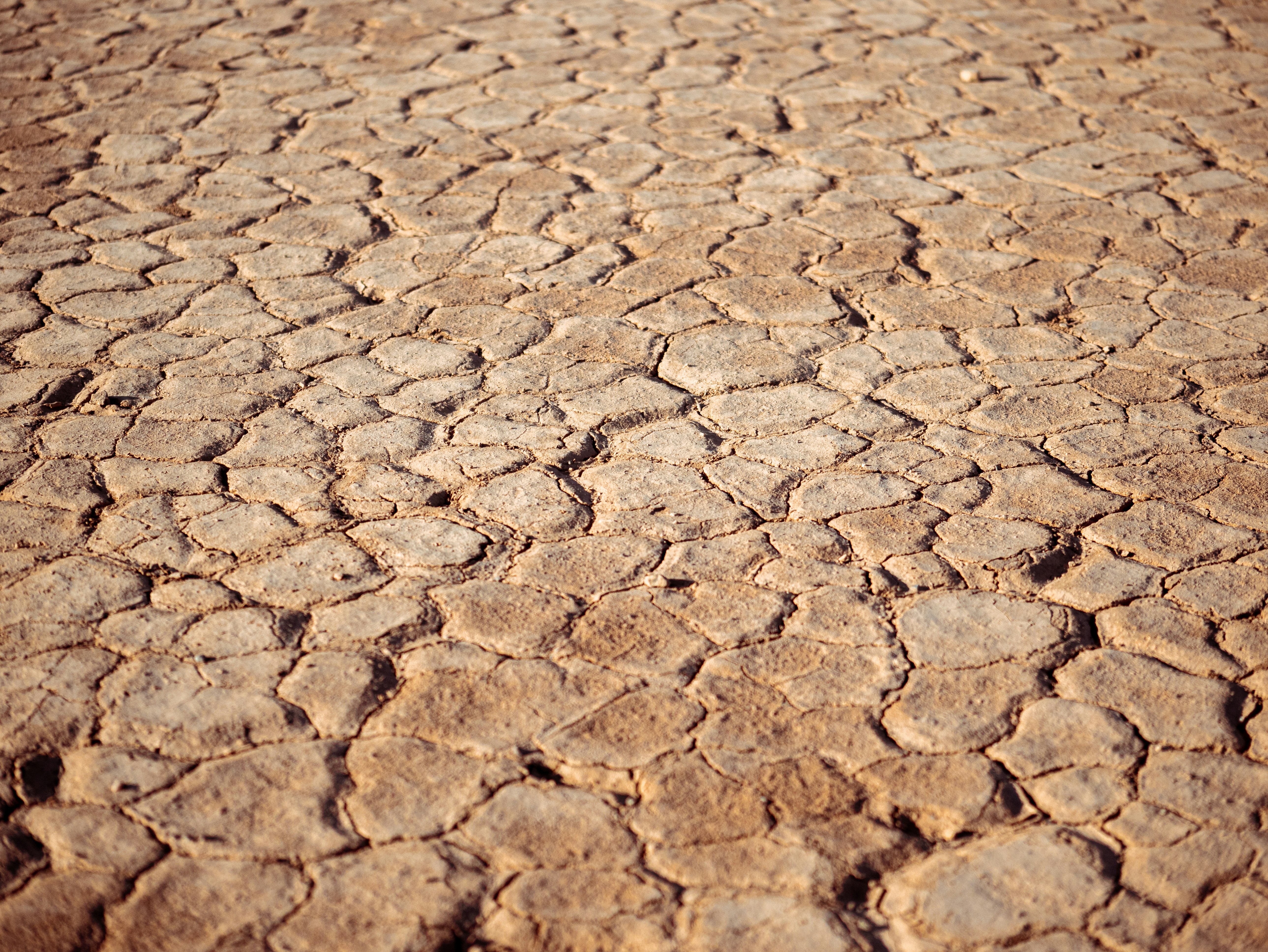 Dried Cracked Earth Surface