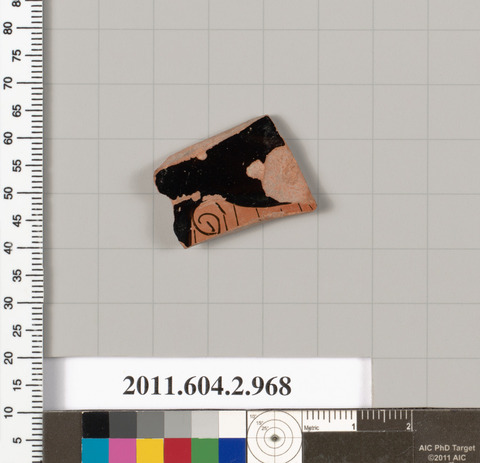 Ancient Pottery Fragment Specimen