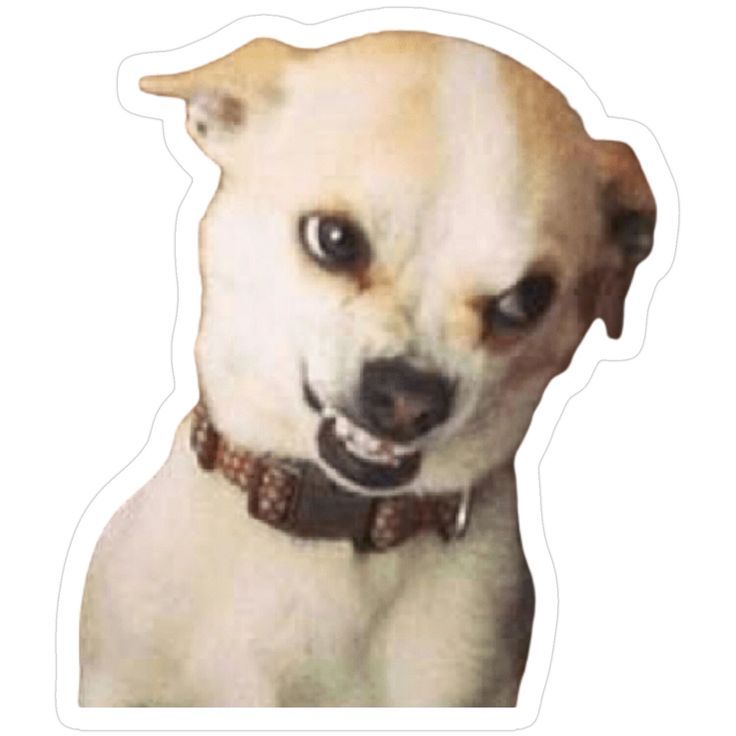 Angry Growling Dog Sticker