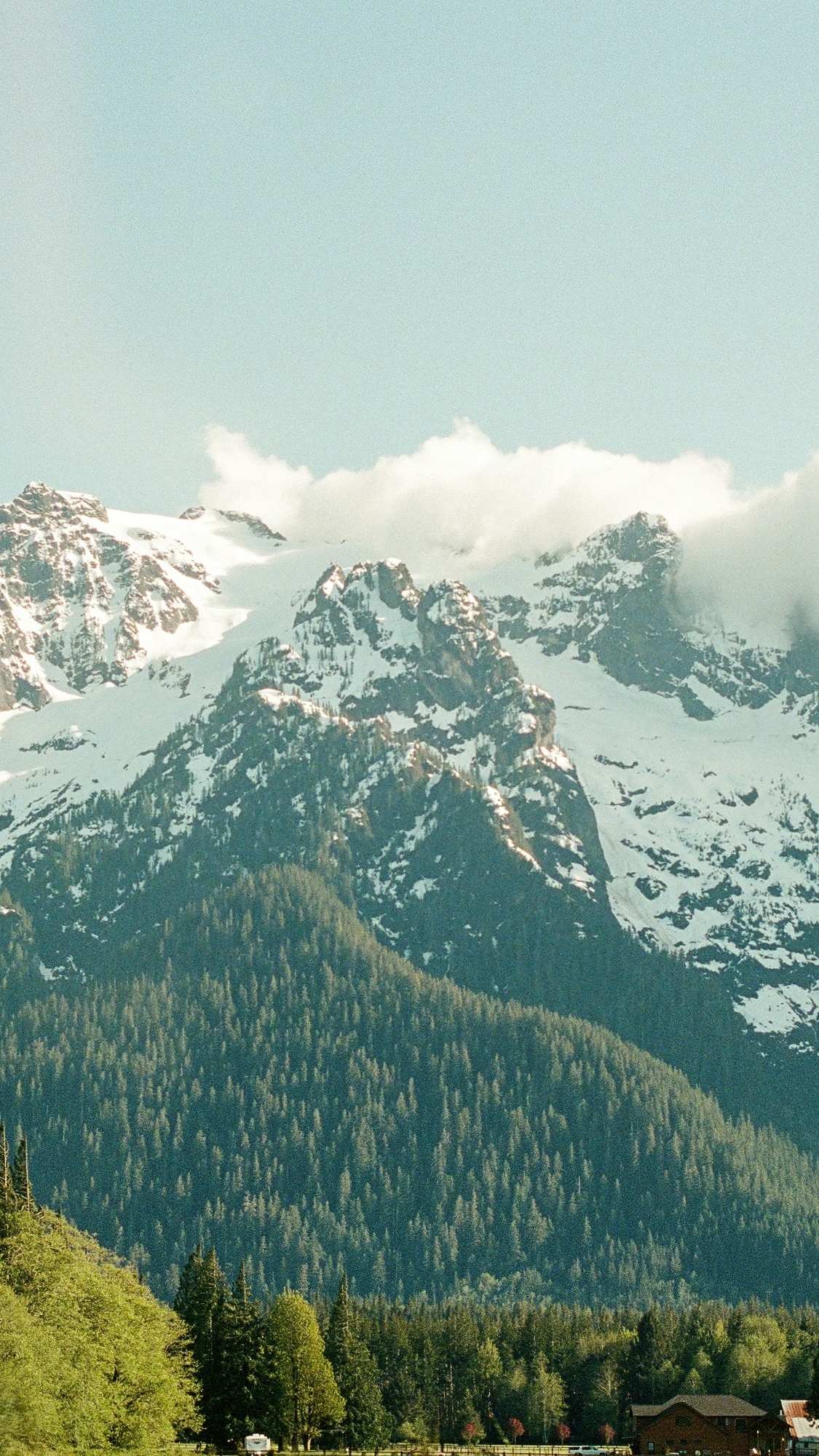 Wallpapers