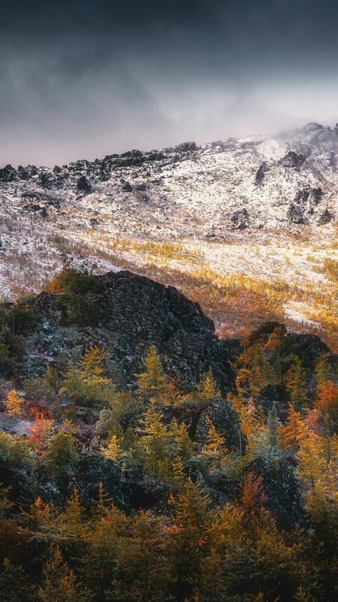 Autumn Snowy Mountain Landscape