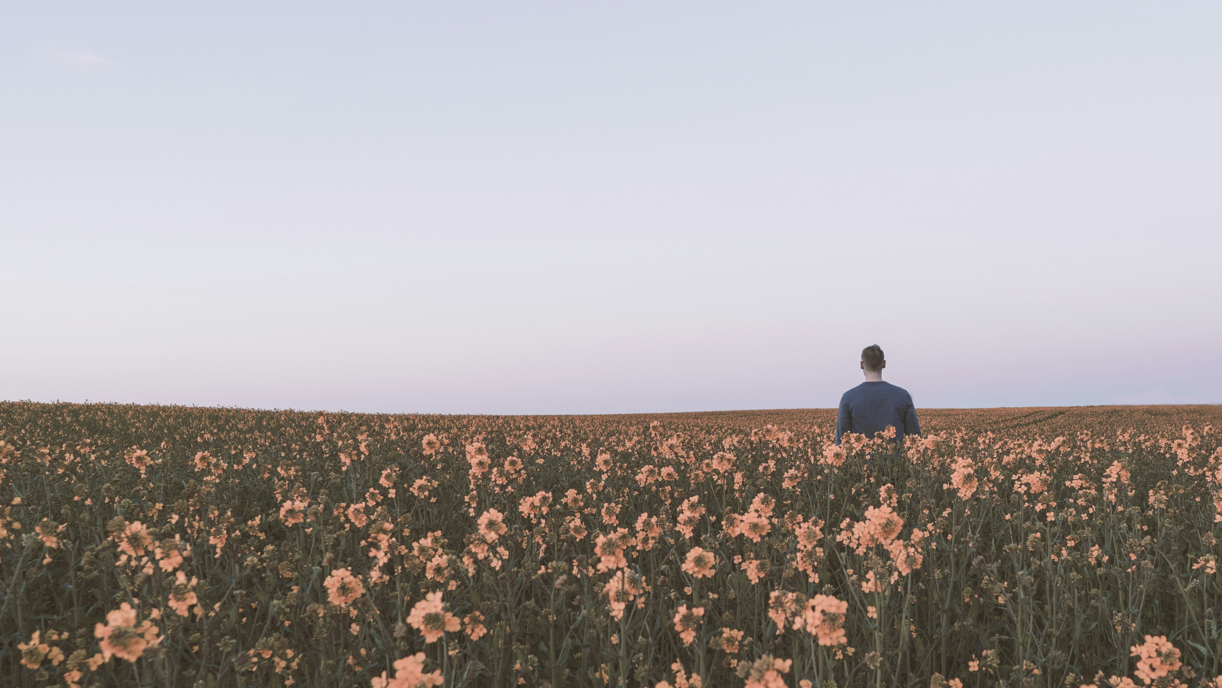 Man Standing In Flower Field