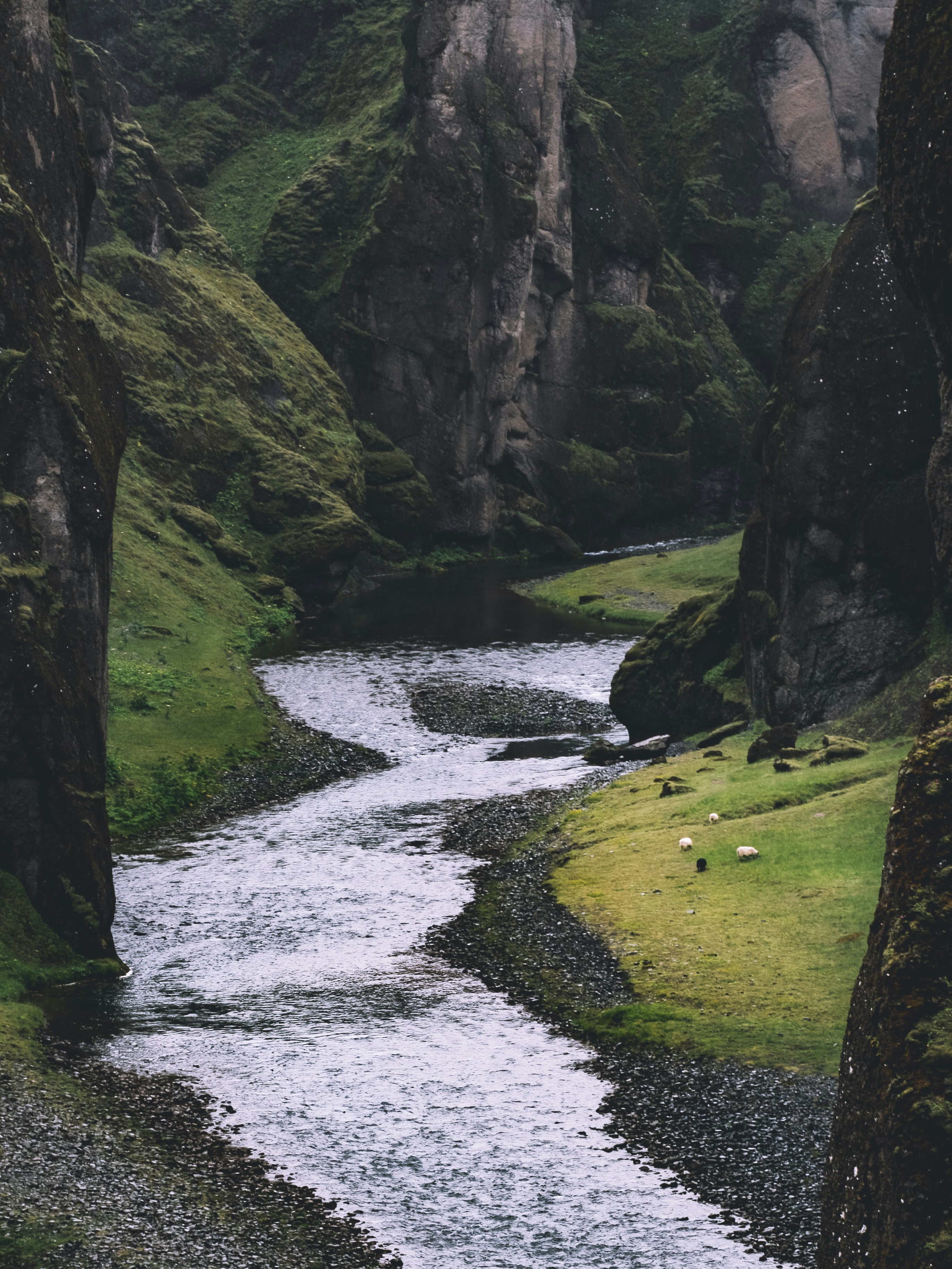 River Canyon with Grazing Sheep