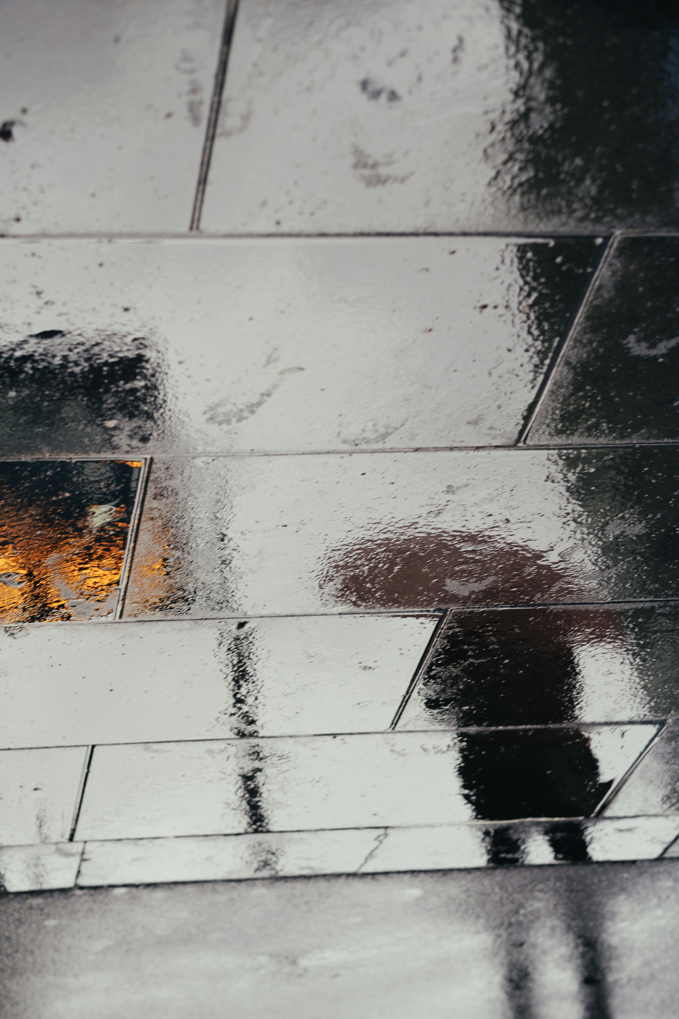 Wet Pavement Reflection After Rain