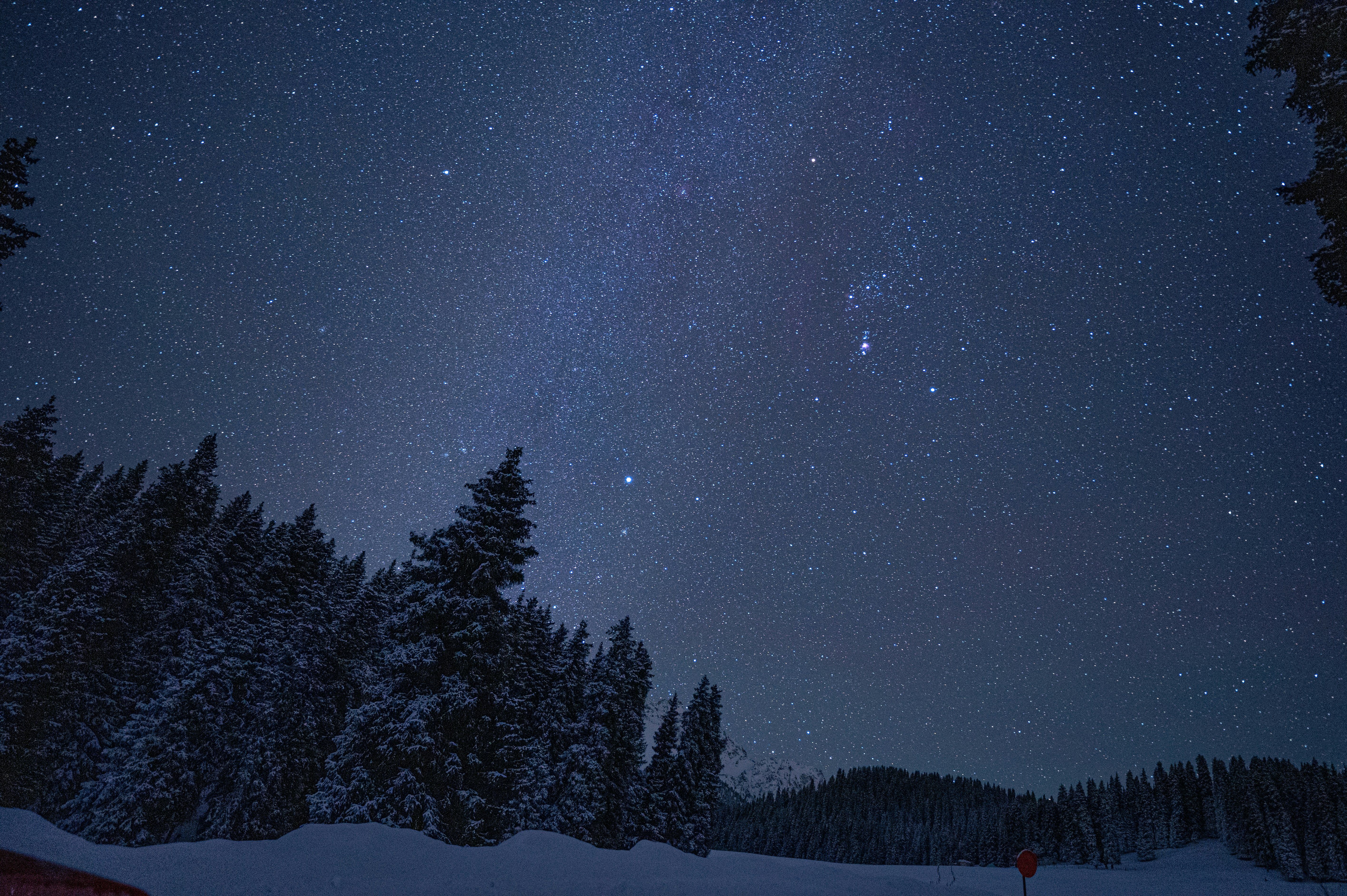 Starry Sky Over Snowy Winter Forest