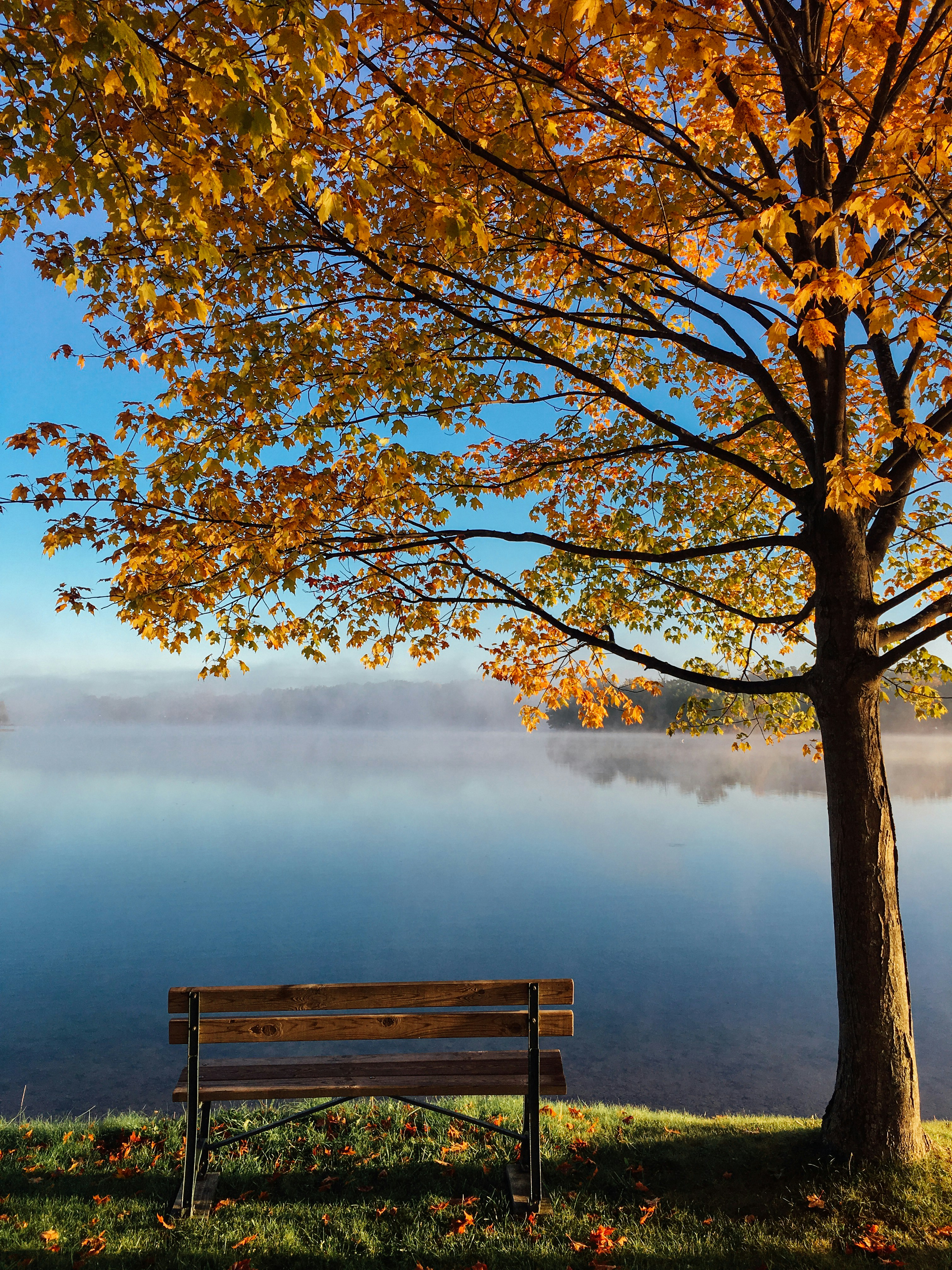 Autumn Lakeside Bench View