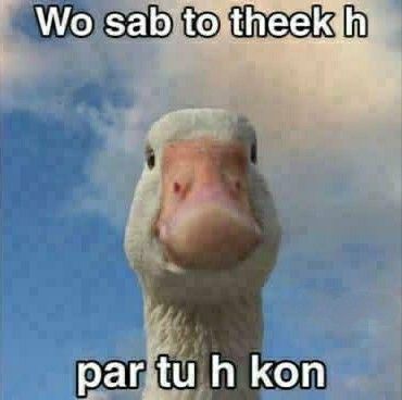 Confused Goose Hindi Meme