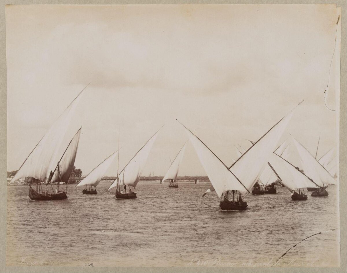 Vintage Felucca Fleet on the Nile
