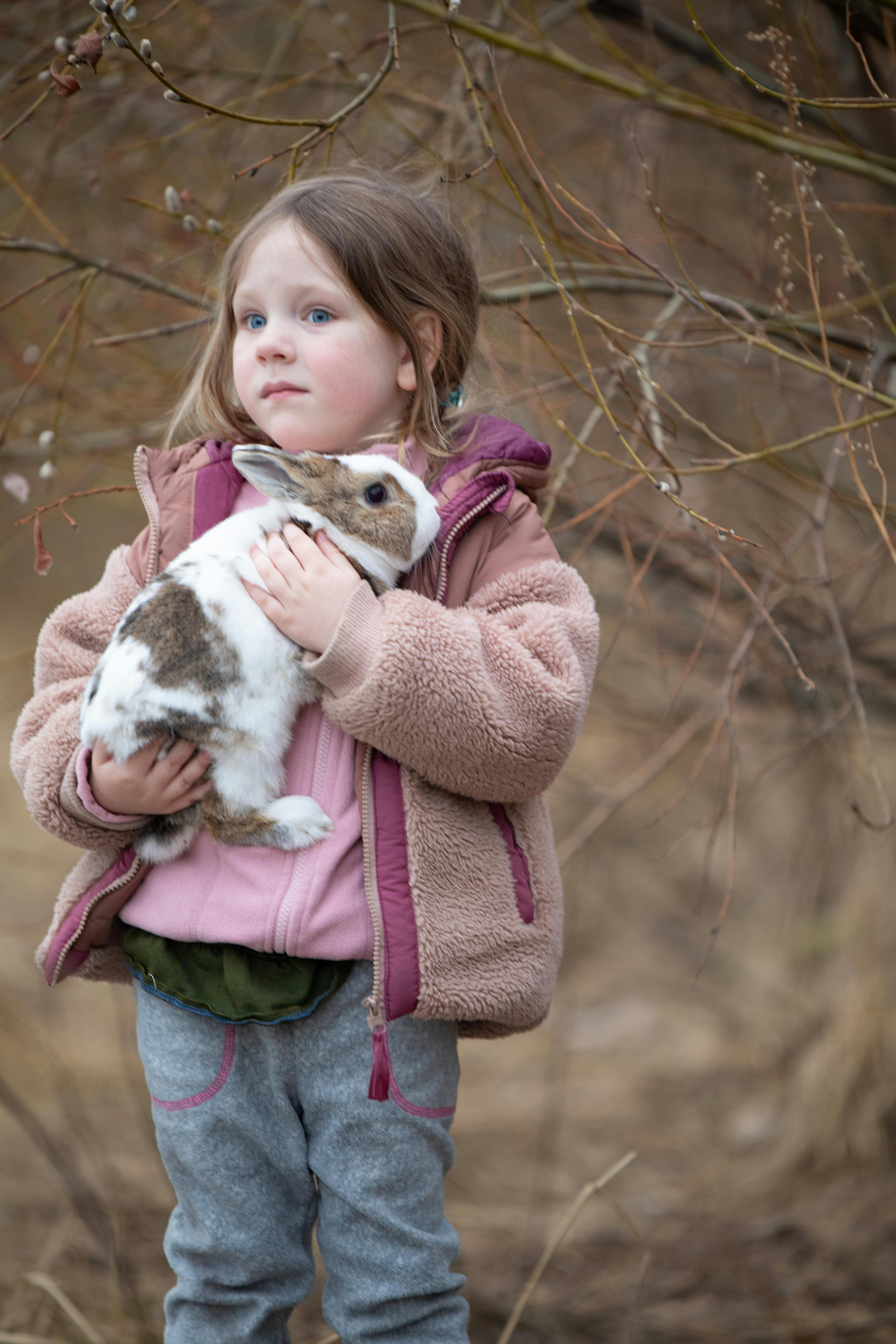 Image 1436577 — Pets