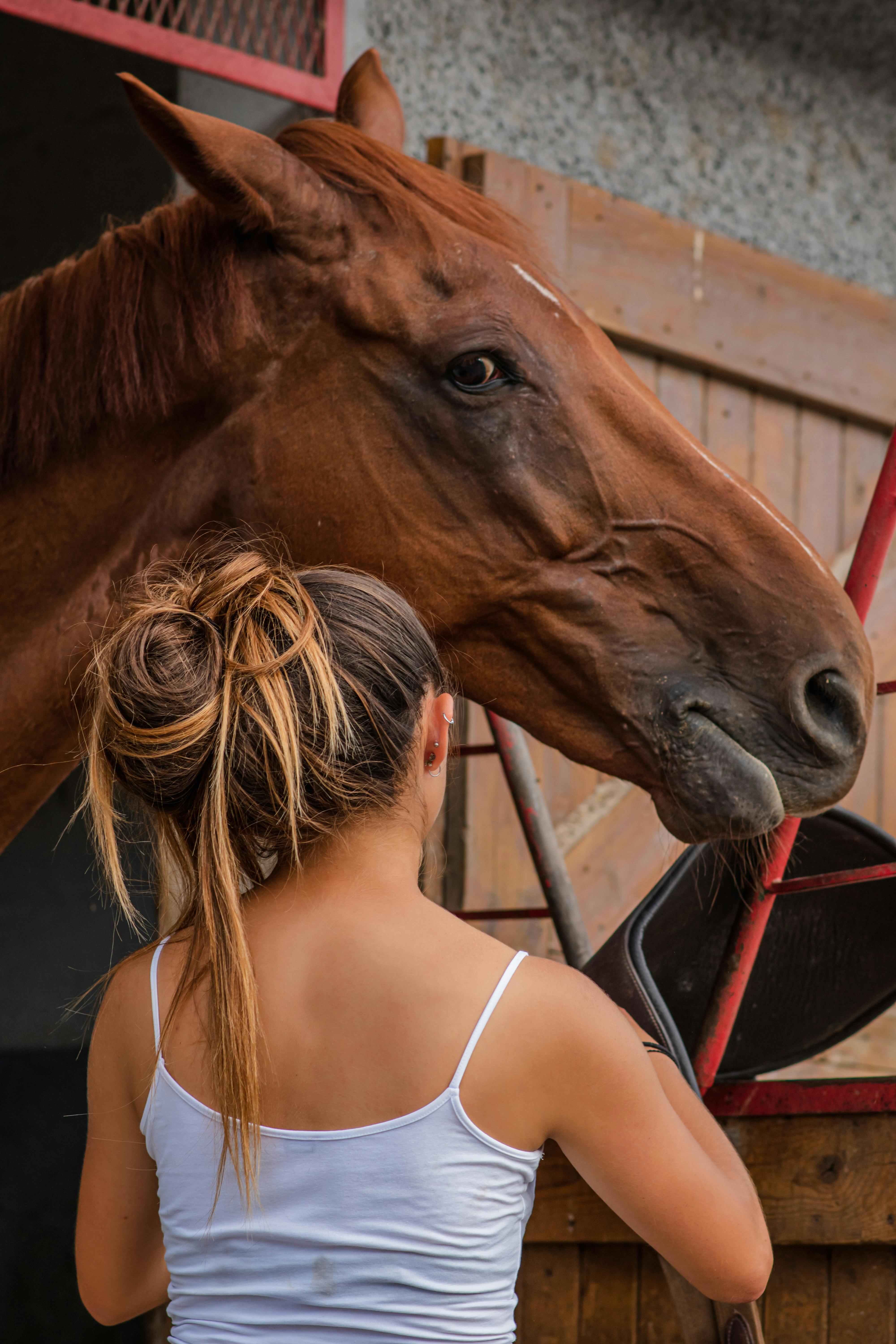 Girl Standing With Chestnut Horse In Stable