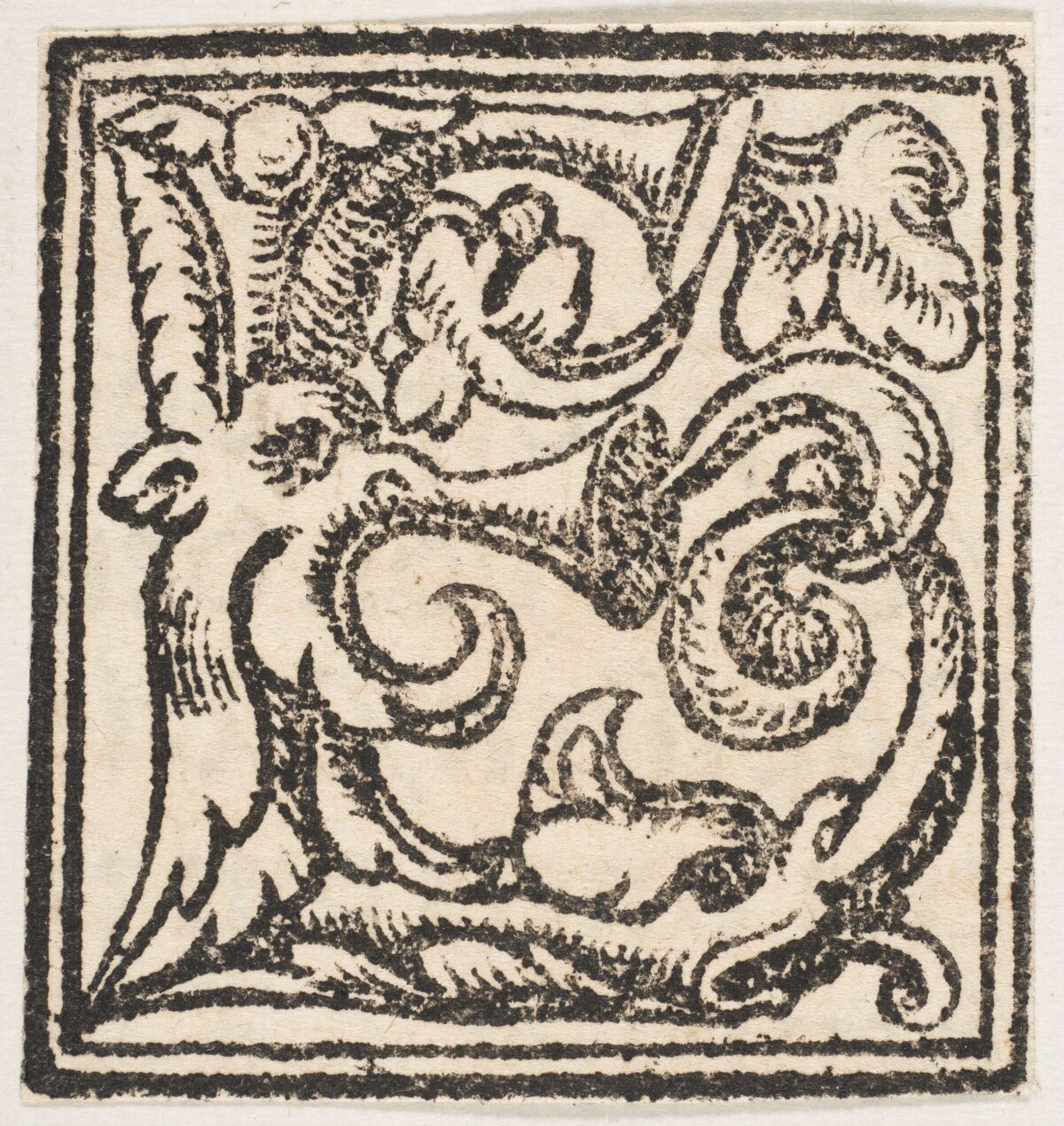 Vintage Black White Woodcut Decorative Pattern