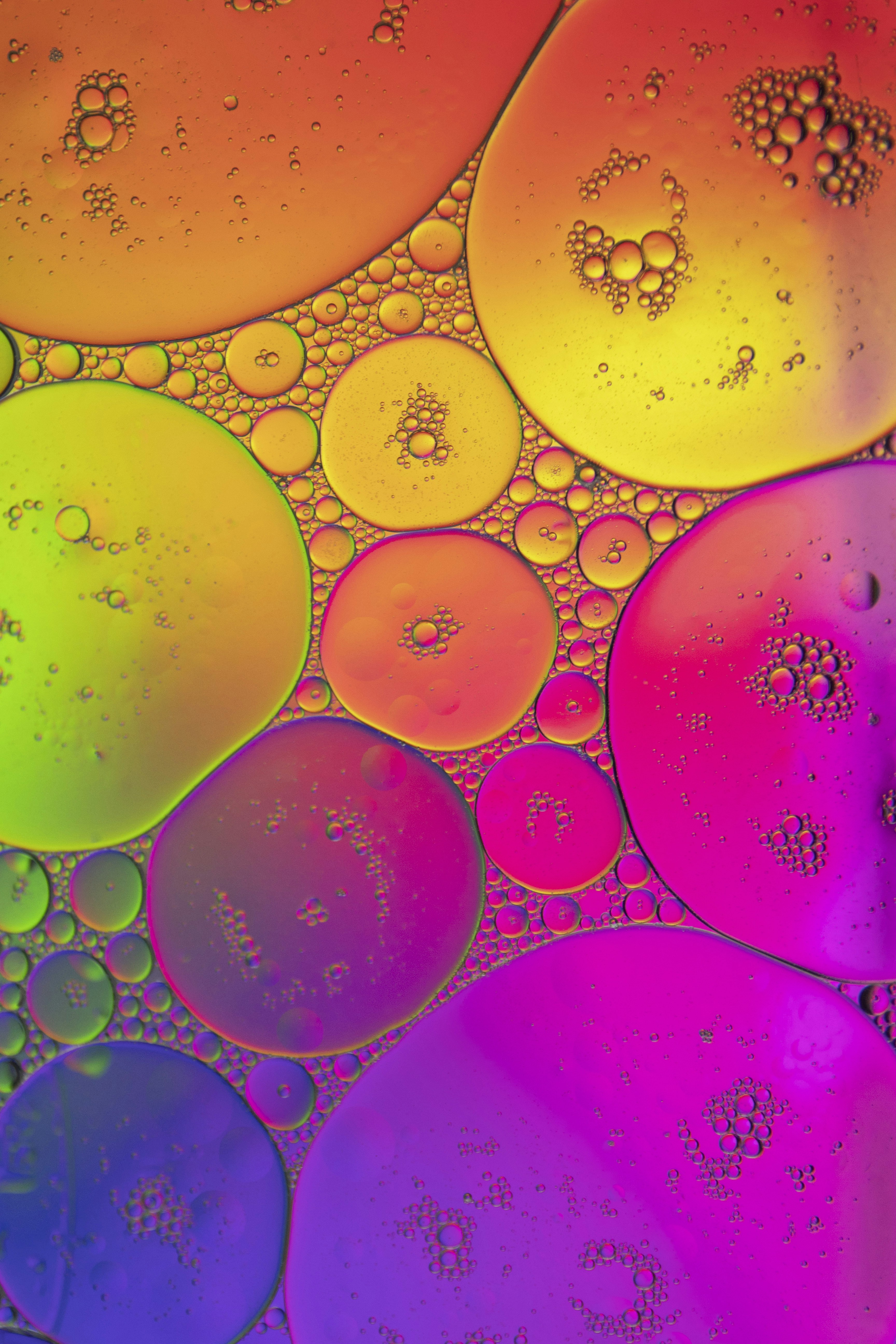 Rainbow Colored Oil Bubbles