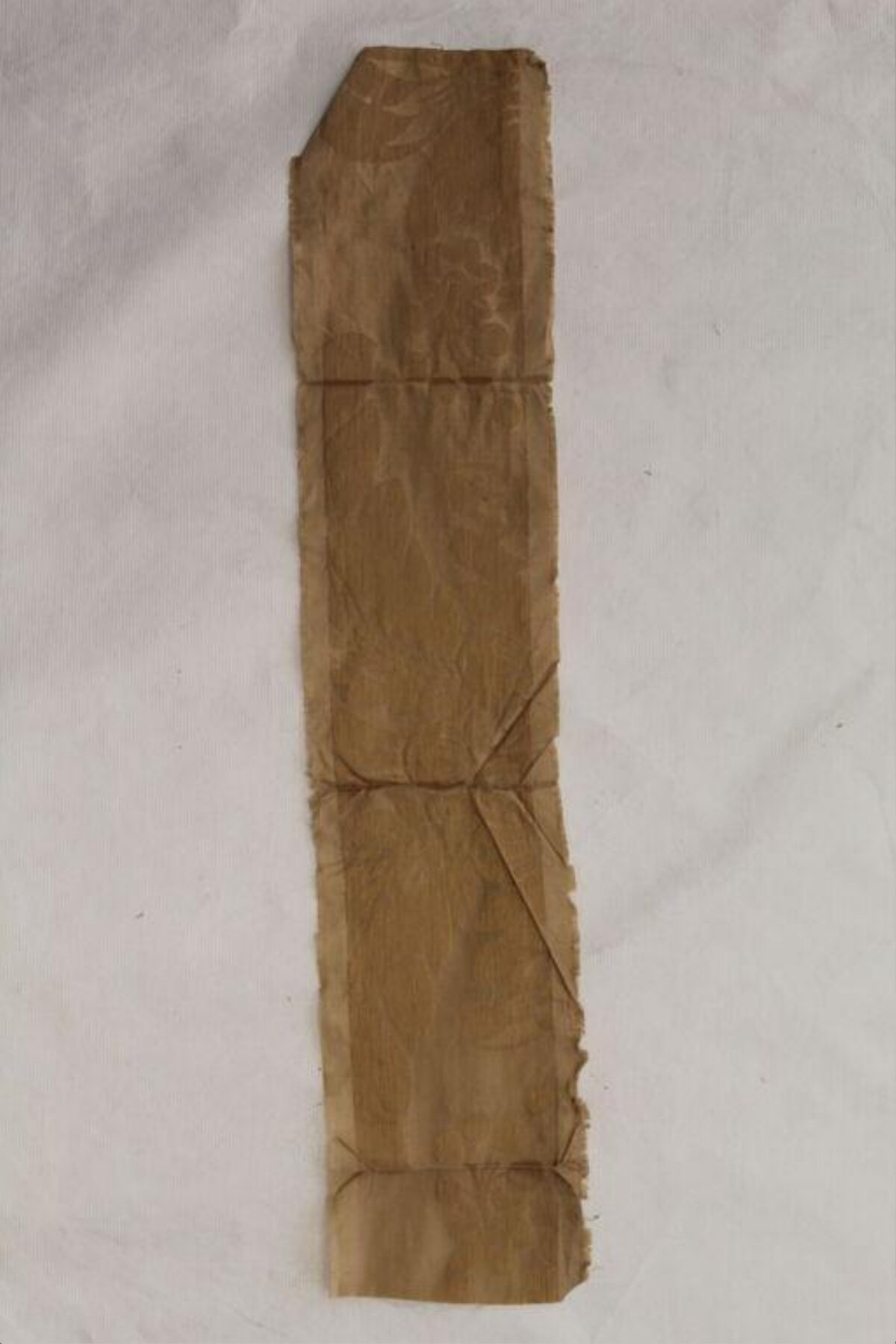 Folded Old Brown Paper Strip