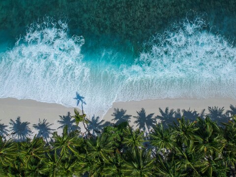Aerial View of Tropical Beach