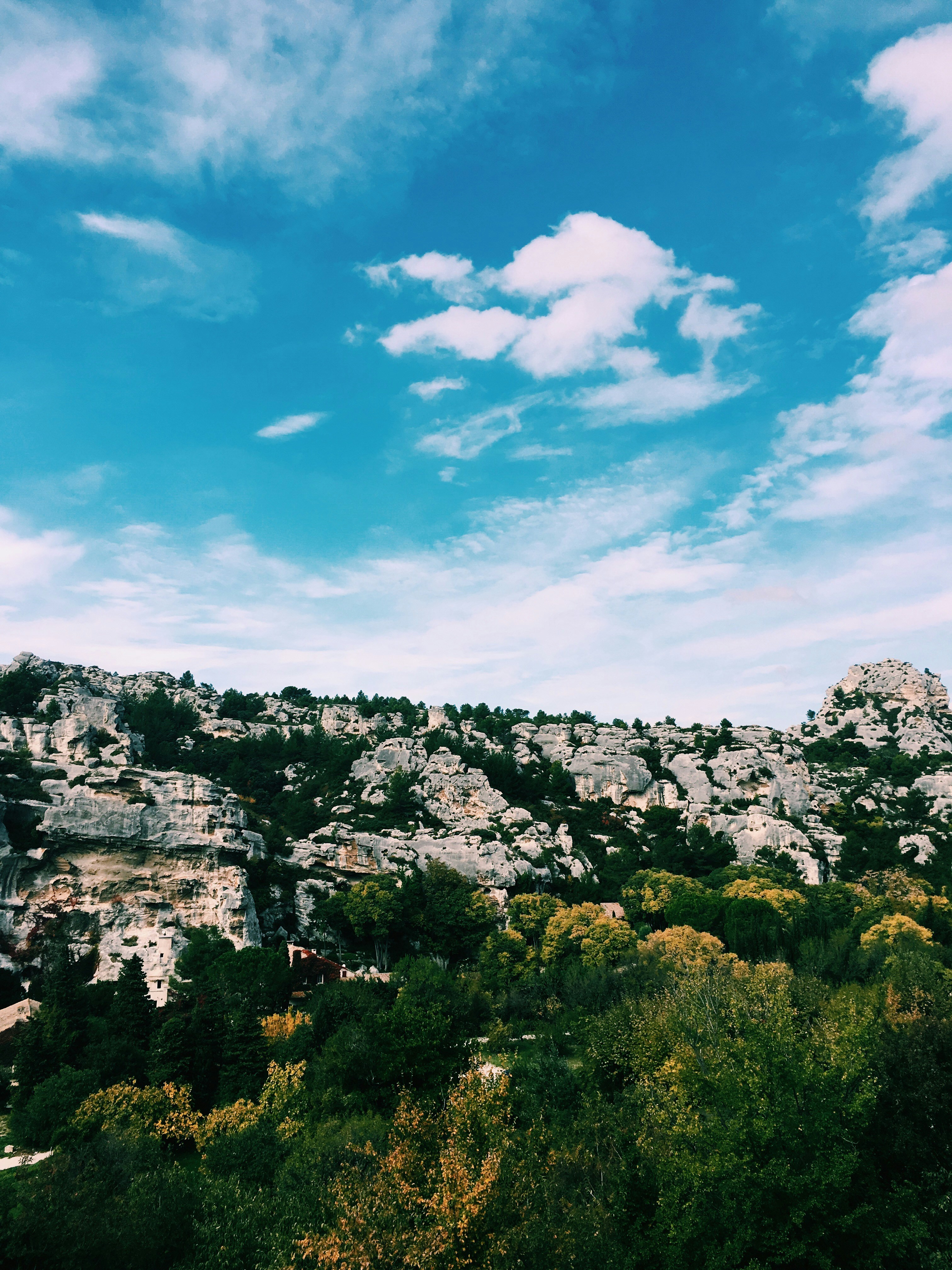 Rocky Mountain Forest Landscape under Blue Sky