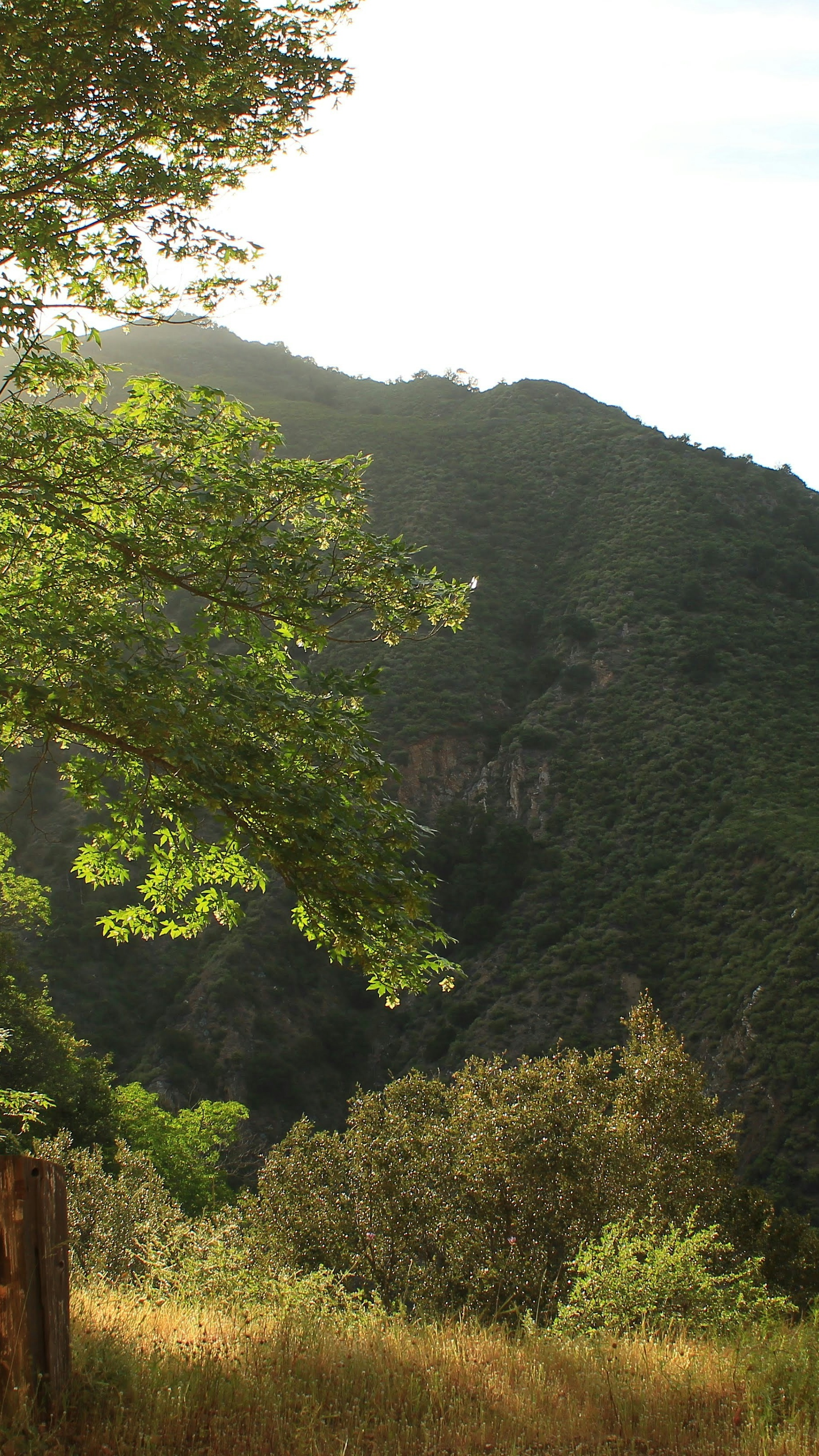 Landscapes