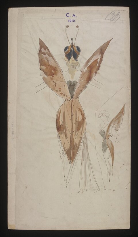 1910 Moth Costume Design Sketch