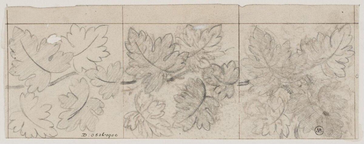 Pencil Sketch of Grape Leaves