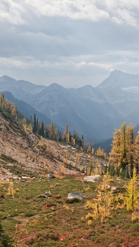 Image 1567710 — Nature