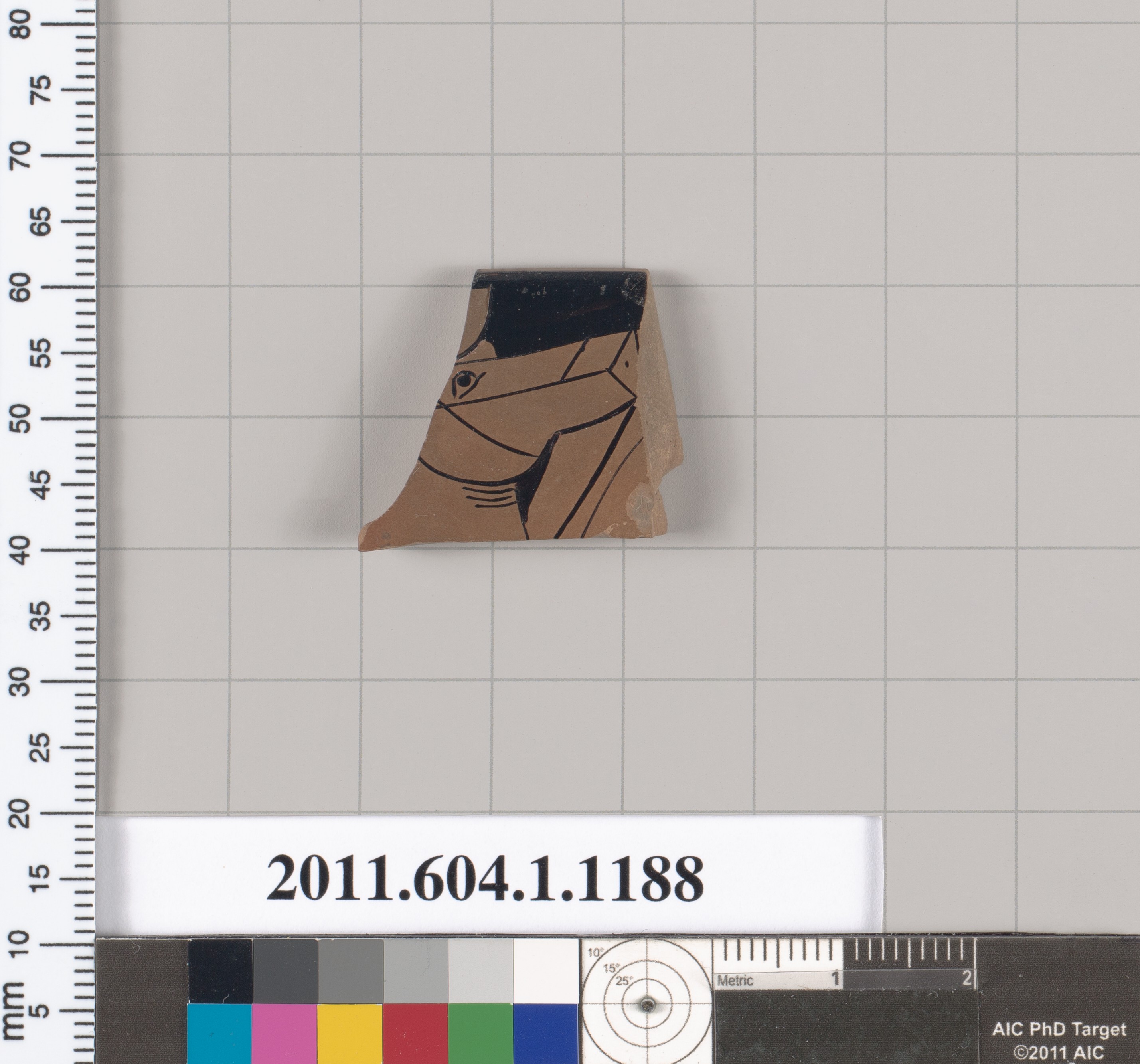 Ancient Pottery Fragment on Calibration Grid