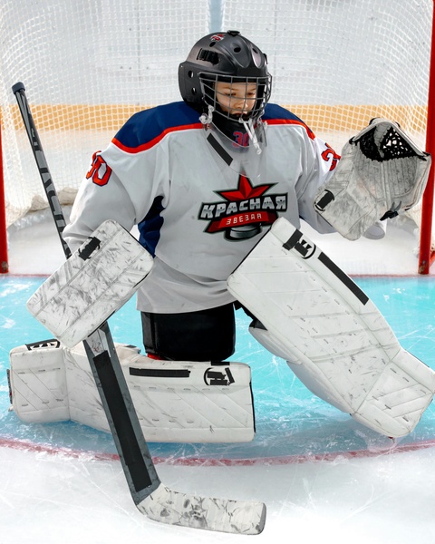 Young Ice Hockey Goalie In Goal
