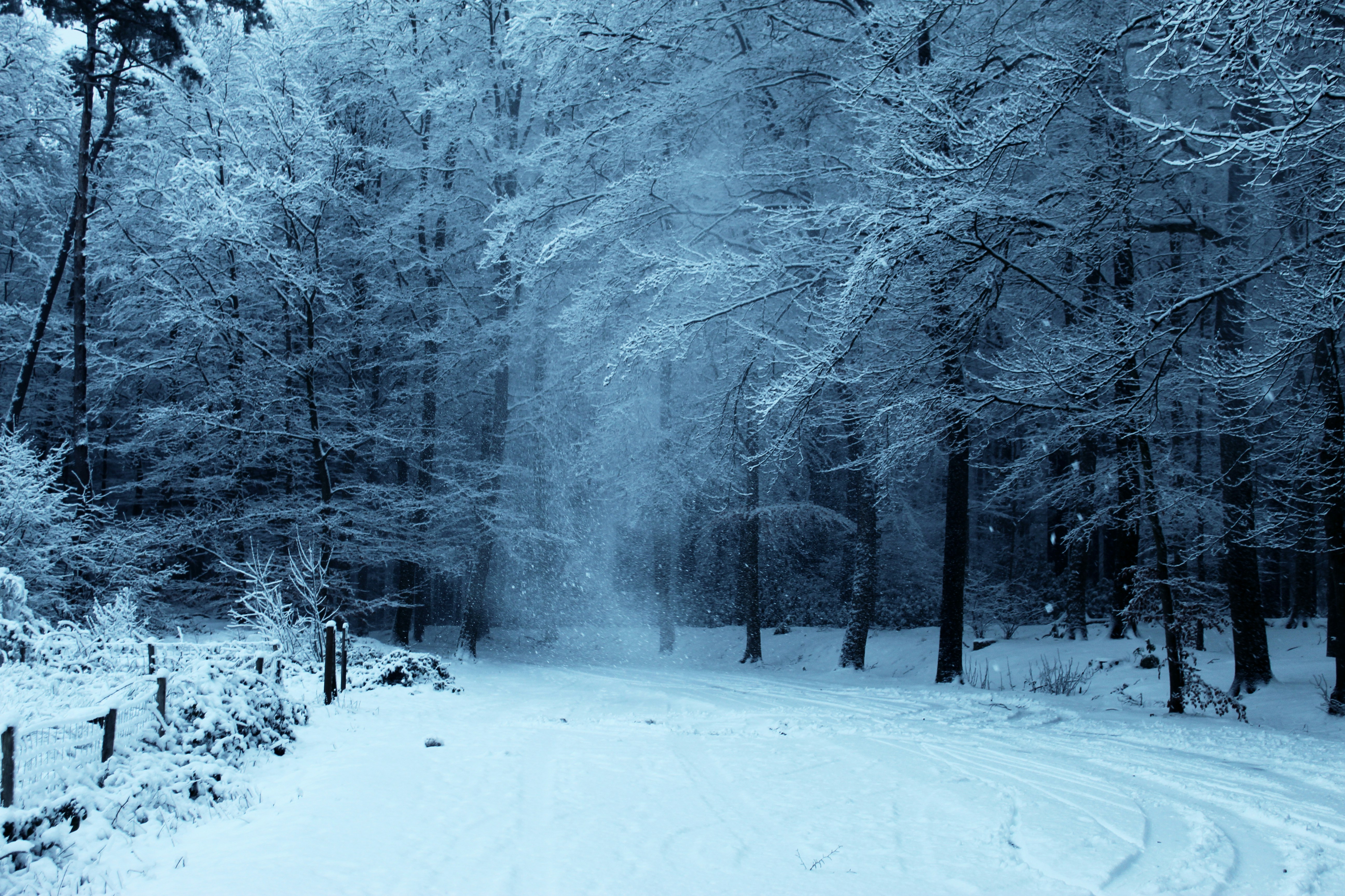 Snow-covered Forest Road