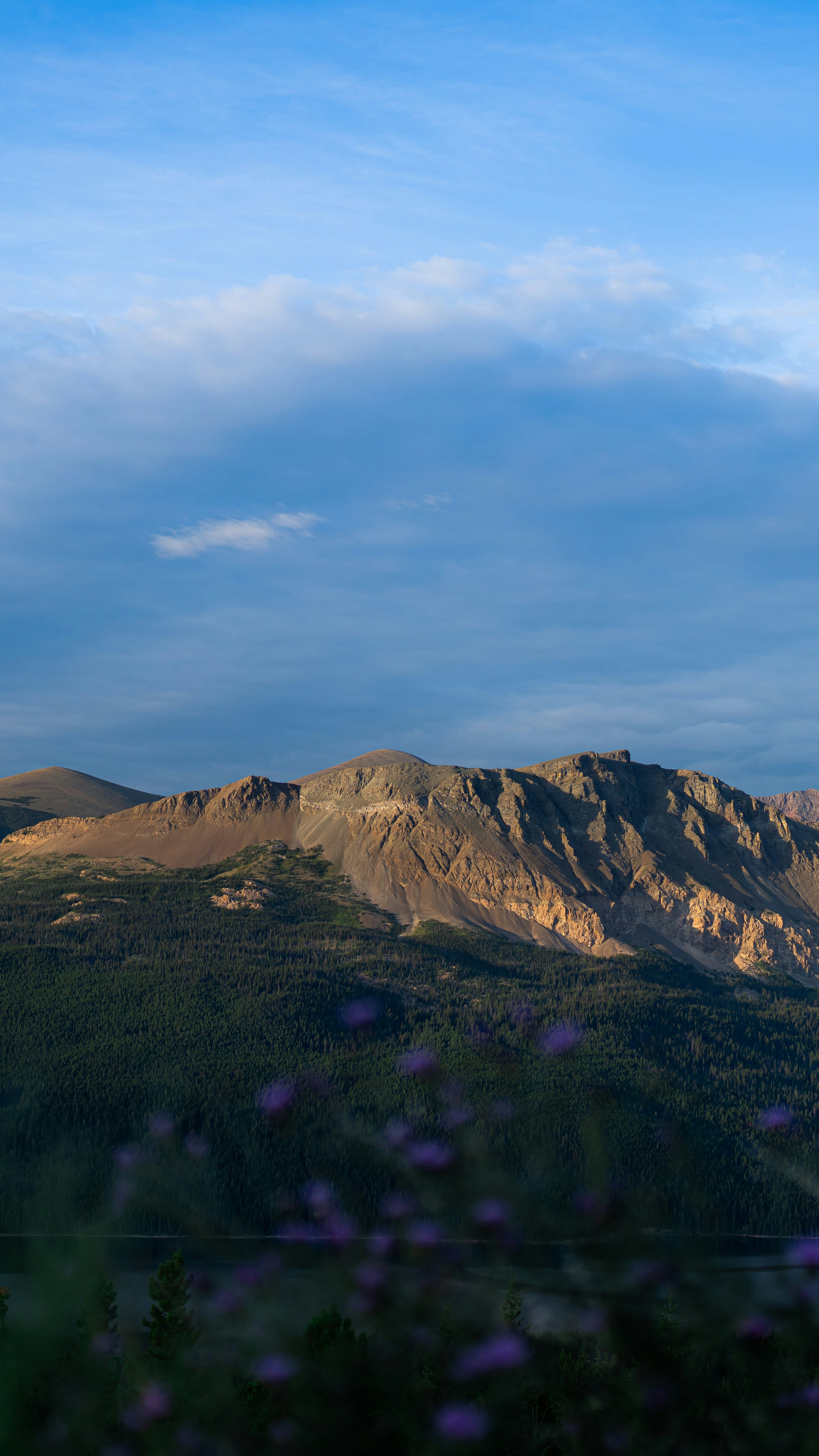 Image 1575684 — Nature