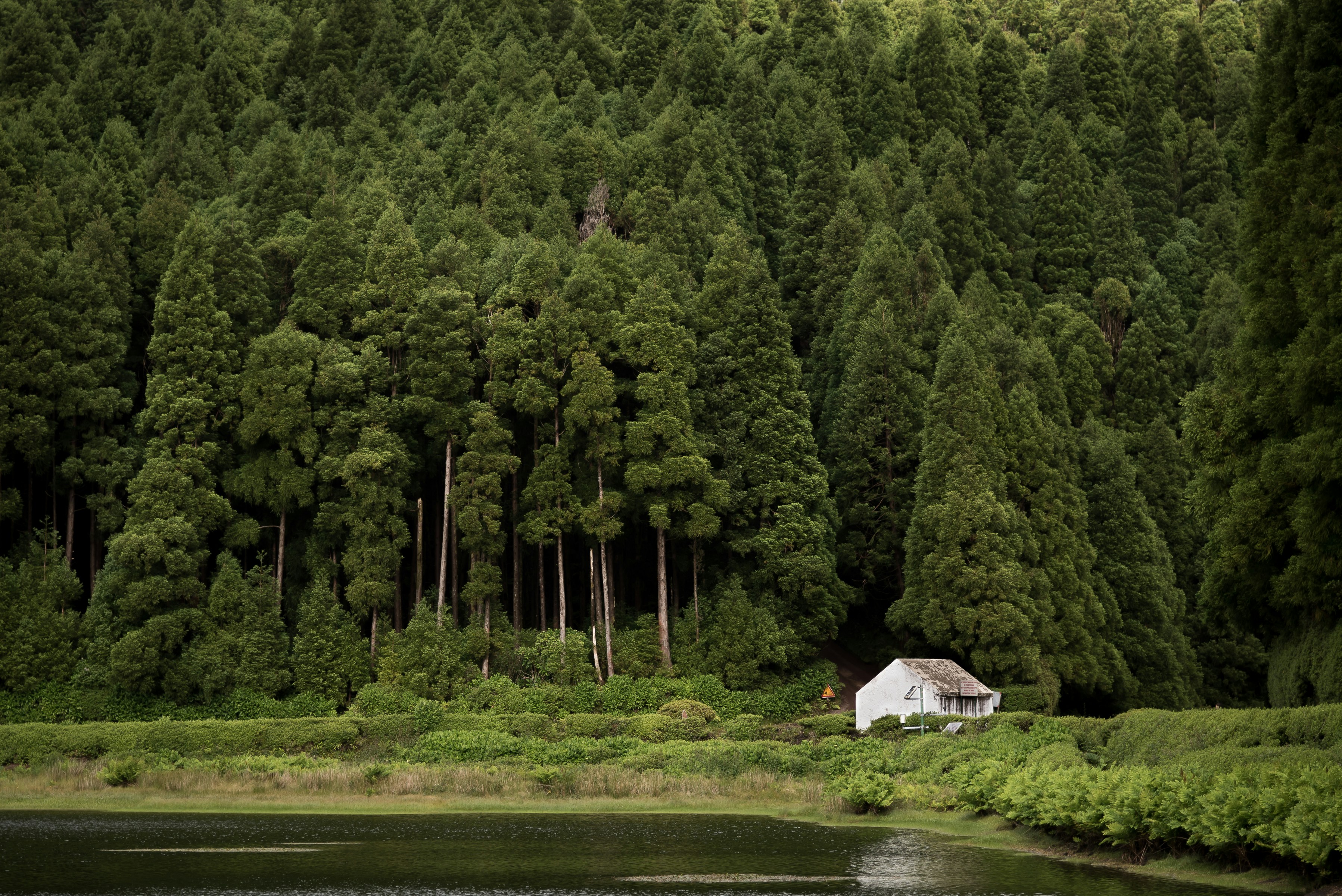 White Cottage by Lakeside Forest