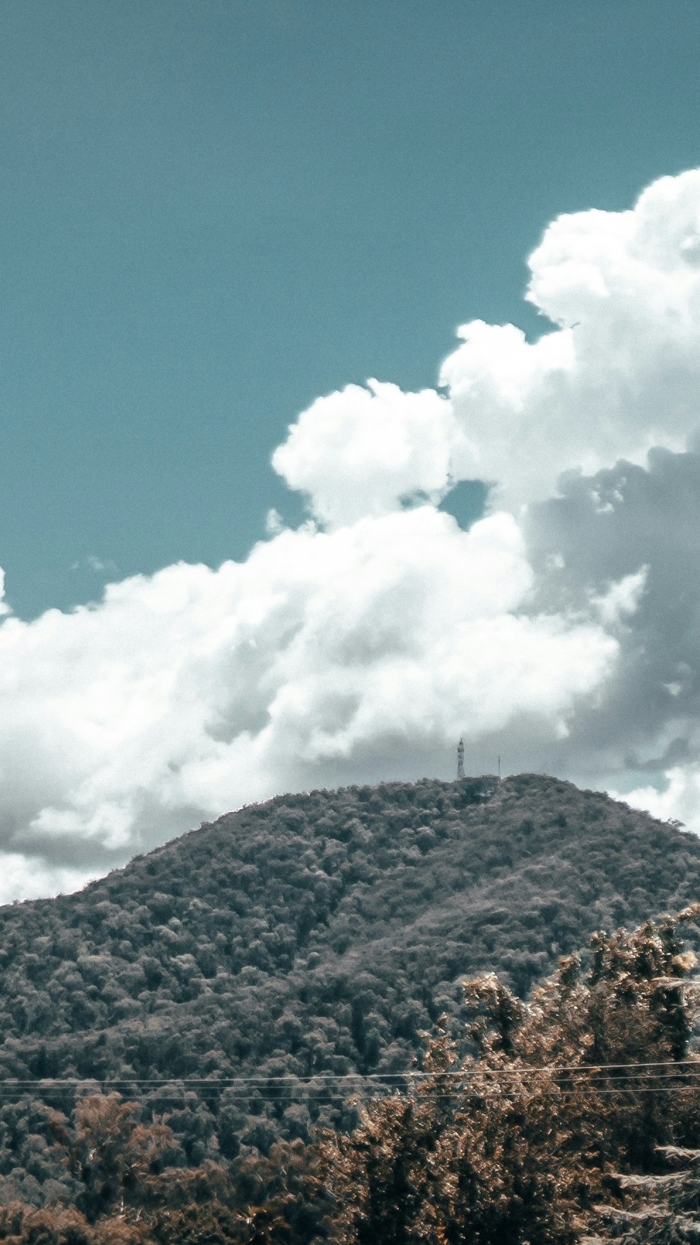 Forested Hill Under Cloudy Blue Sky