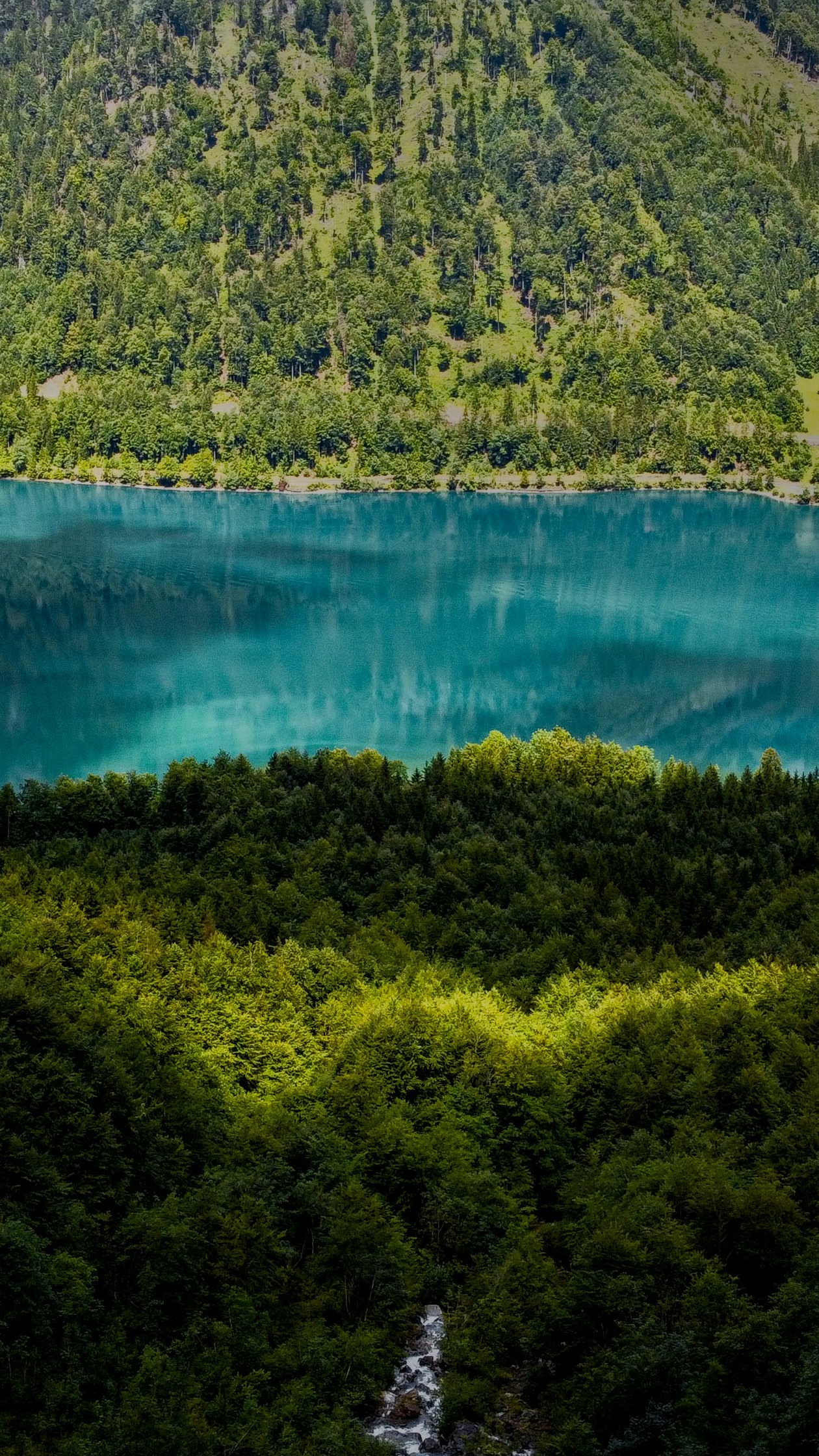 Wallpapers