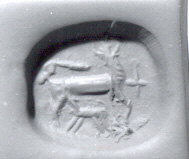 Microscopic View of an Ant