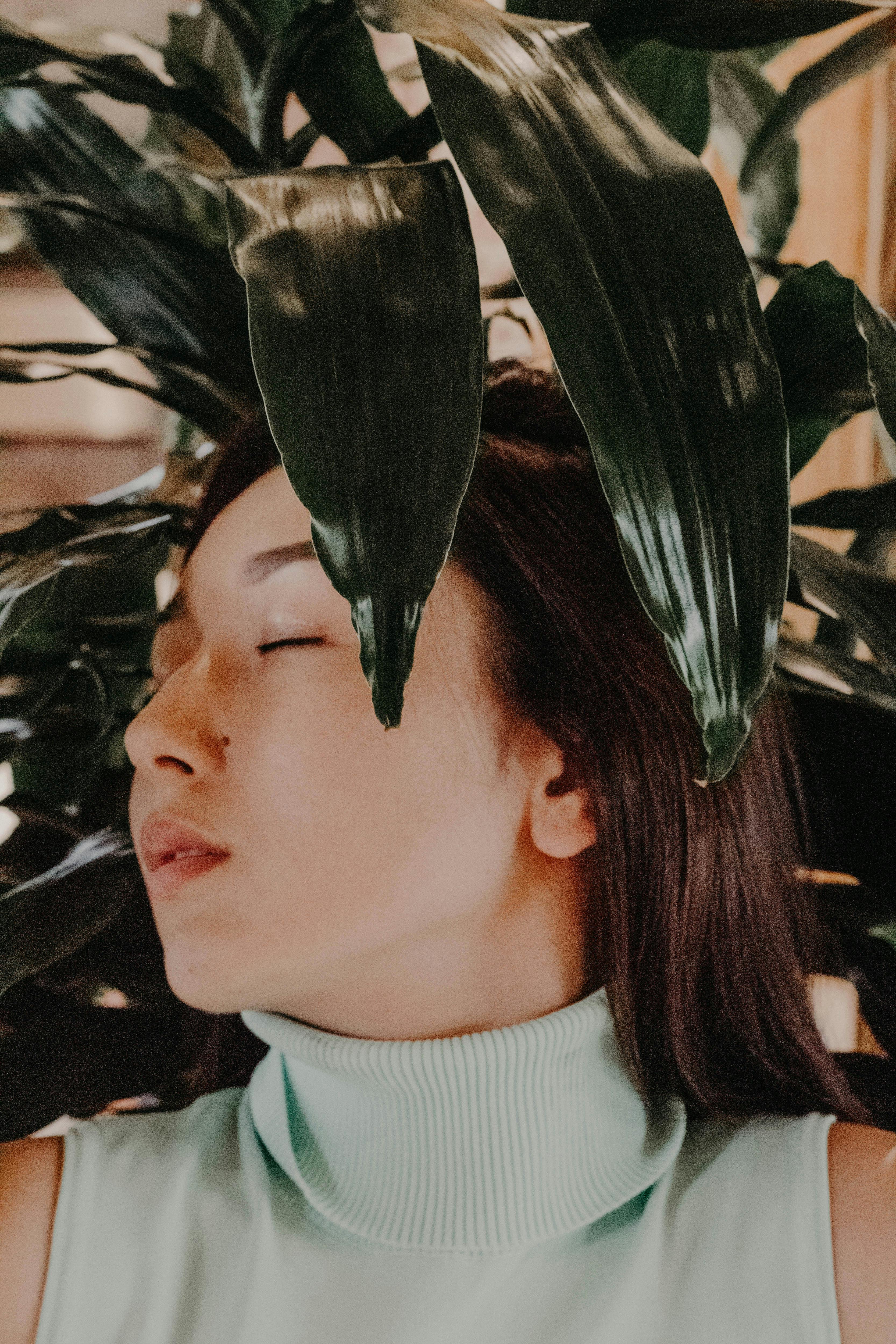 Forest & Flora