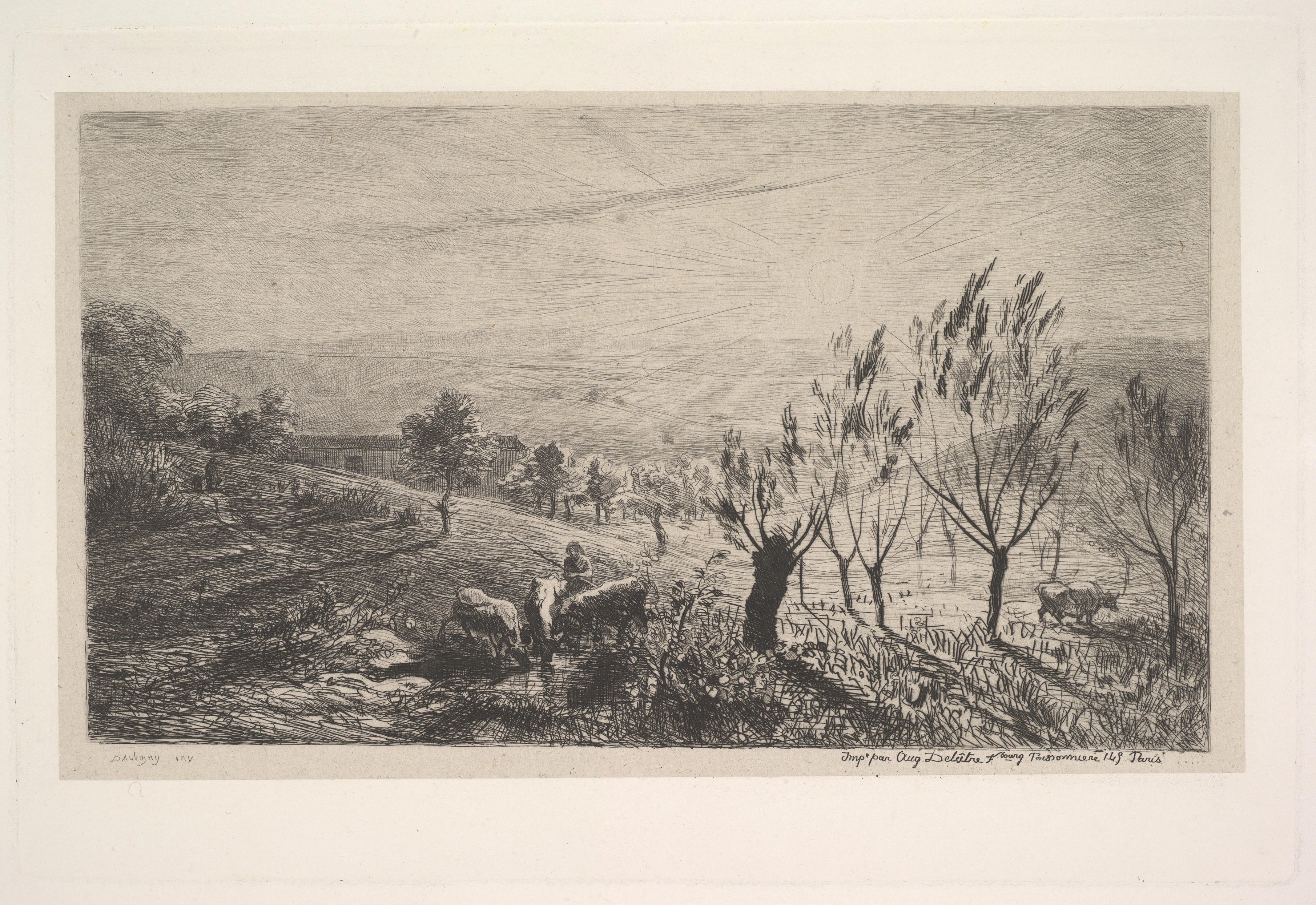 Rural Landscape Cattle Herding Etching