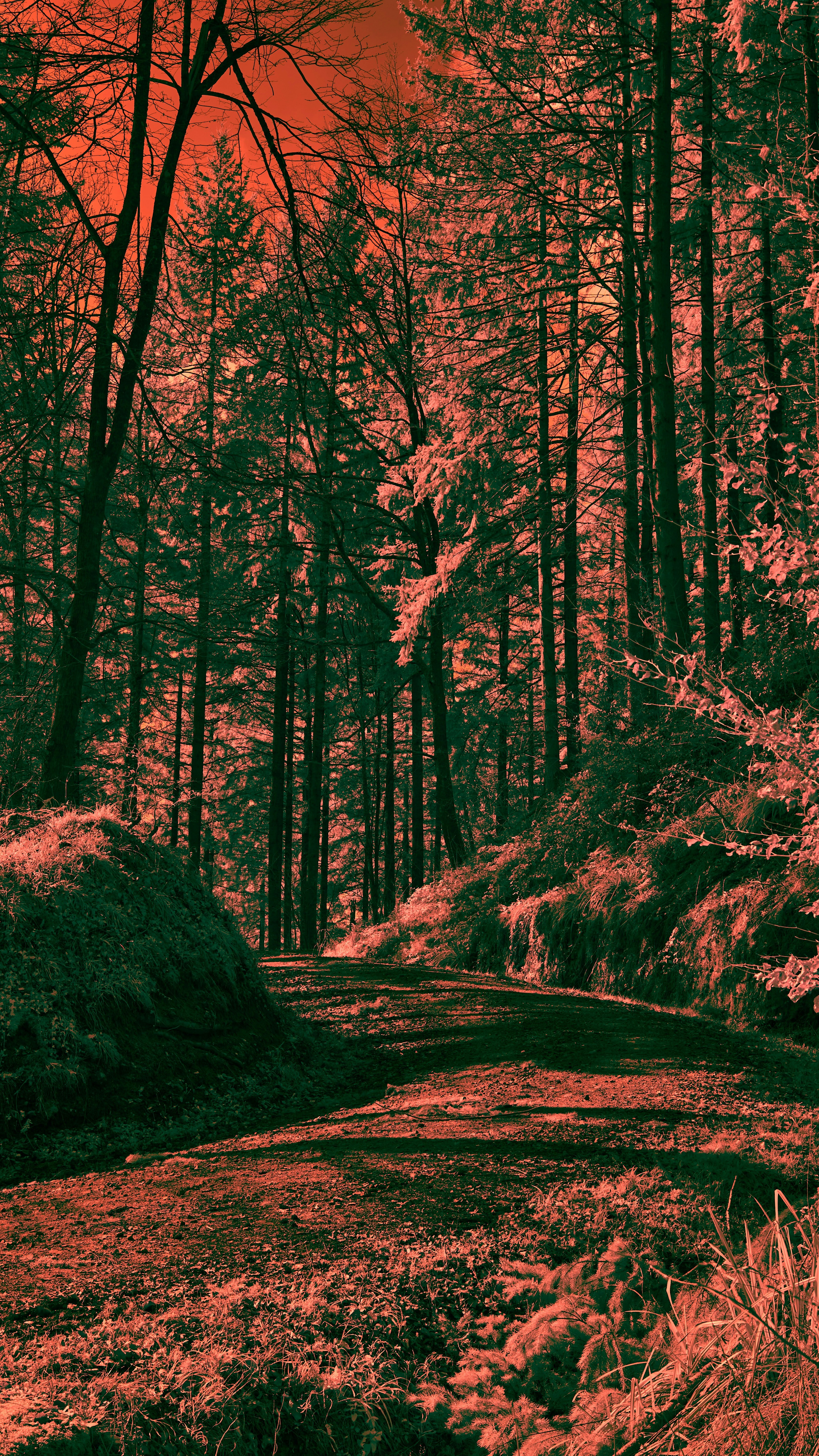 Wallpapers