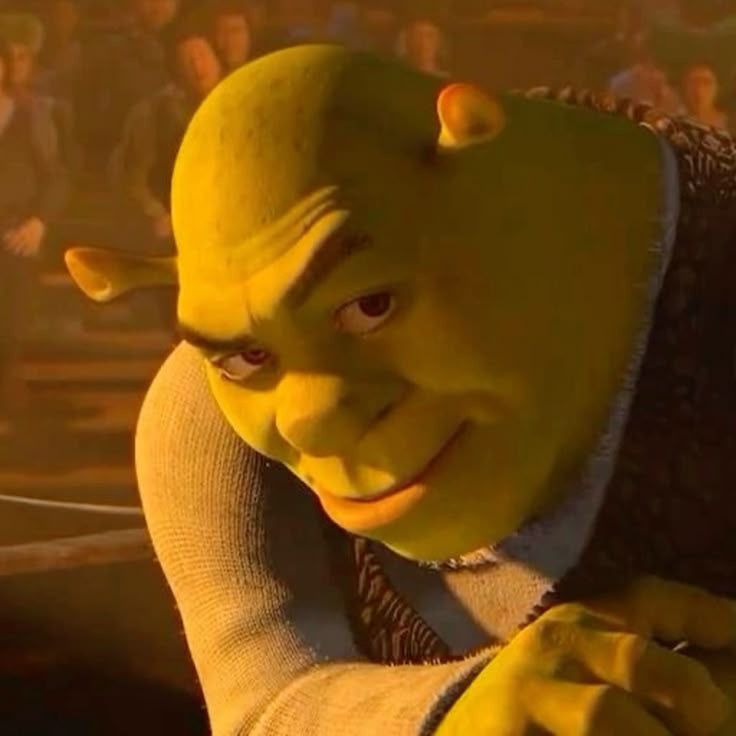 Close-up of Smirking Shrek