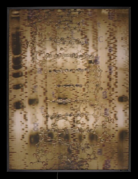 Framed Genetic Sequence Abstract Art