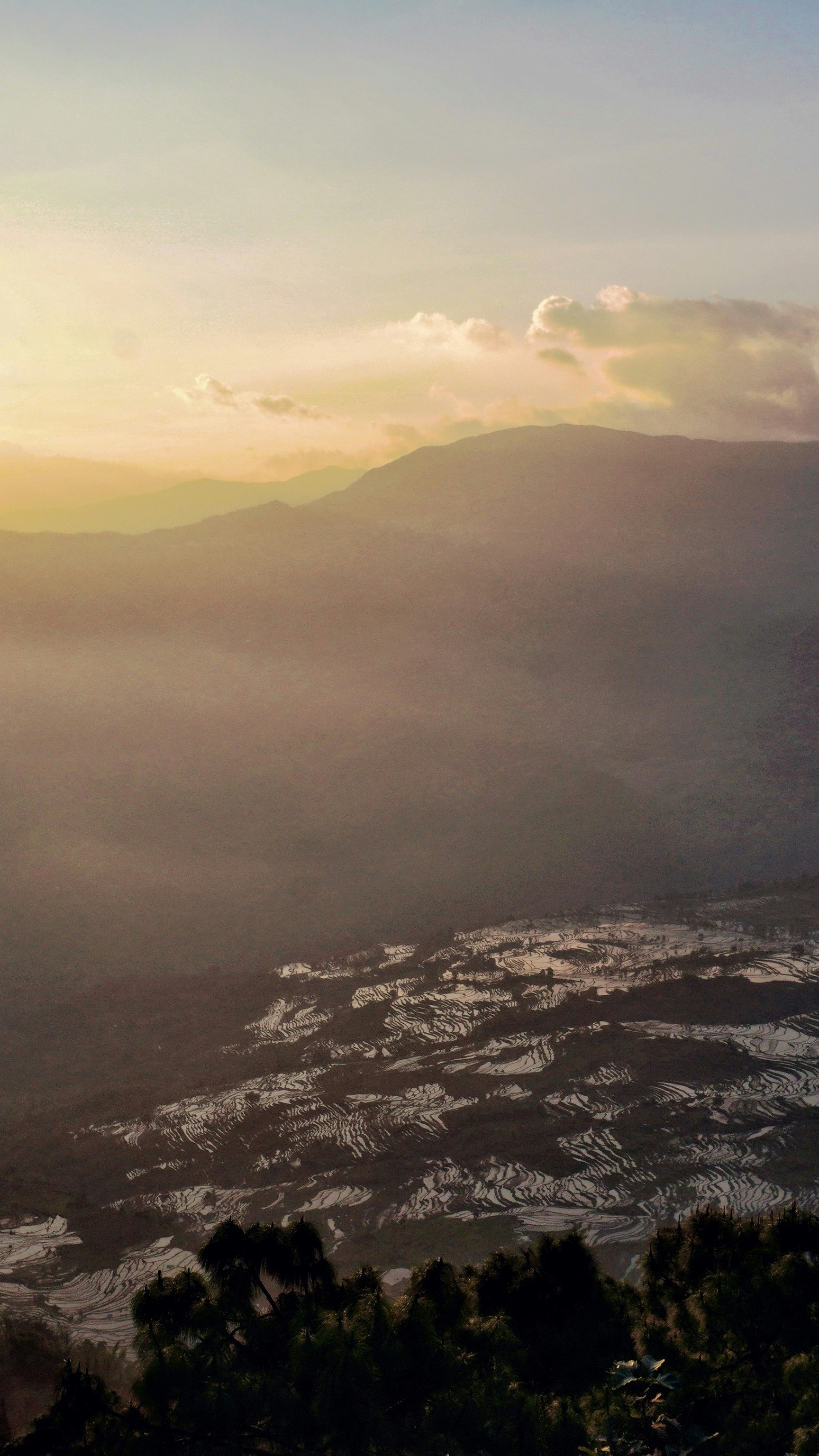 Landscapes