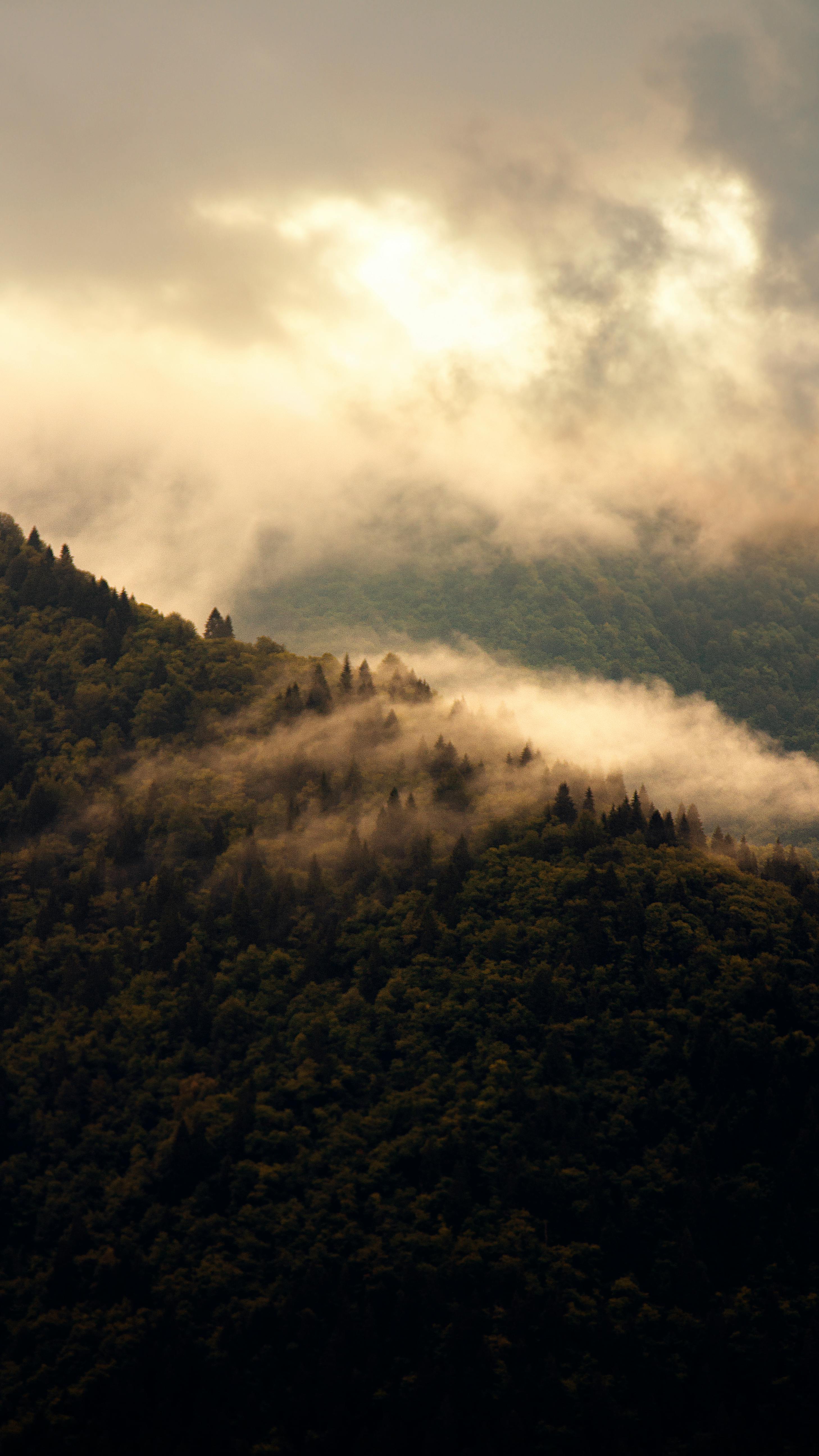Landscapes