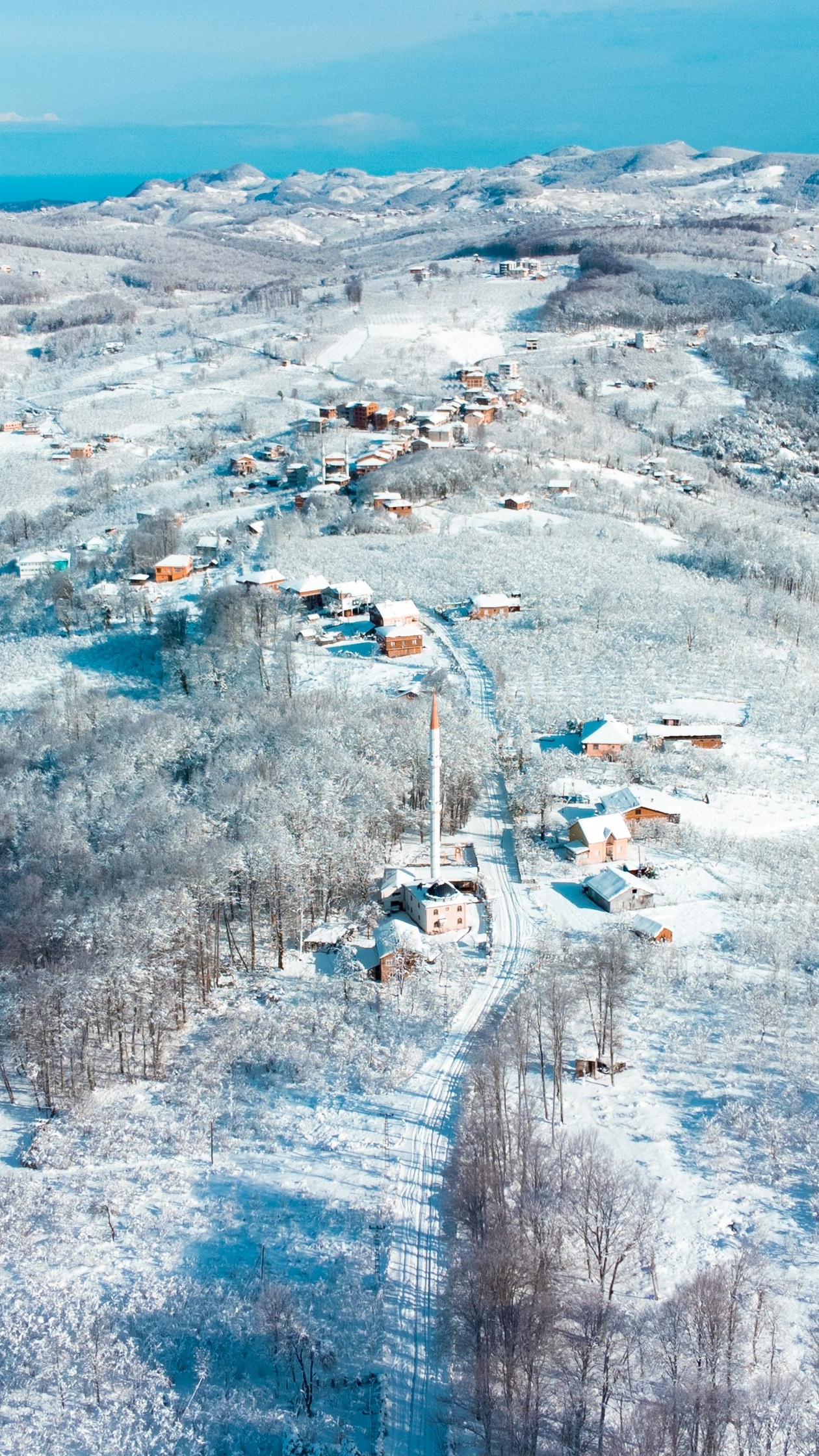 Wallpapers