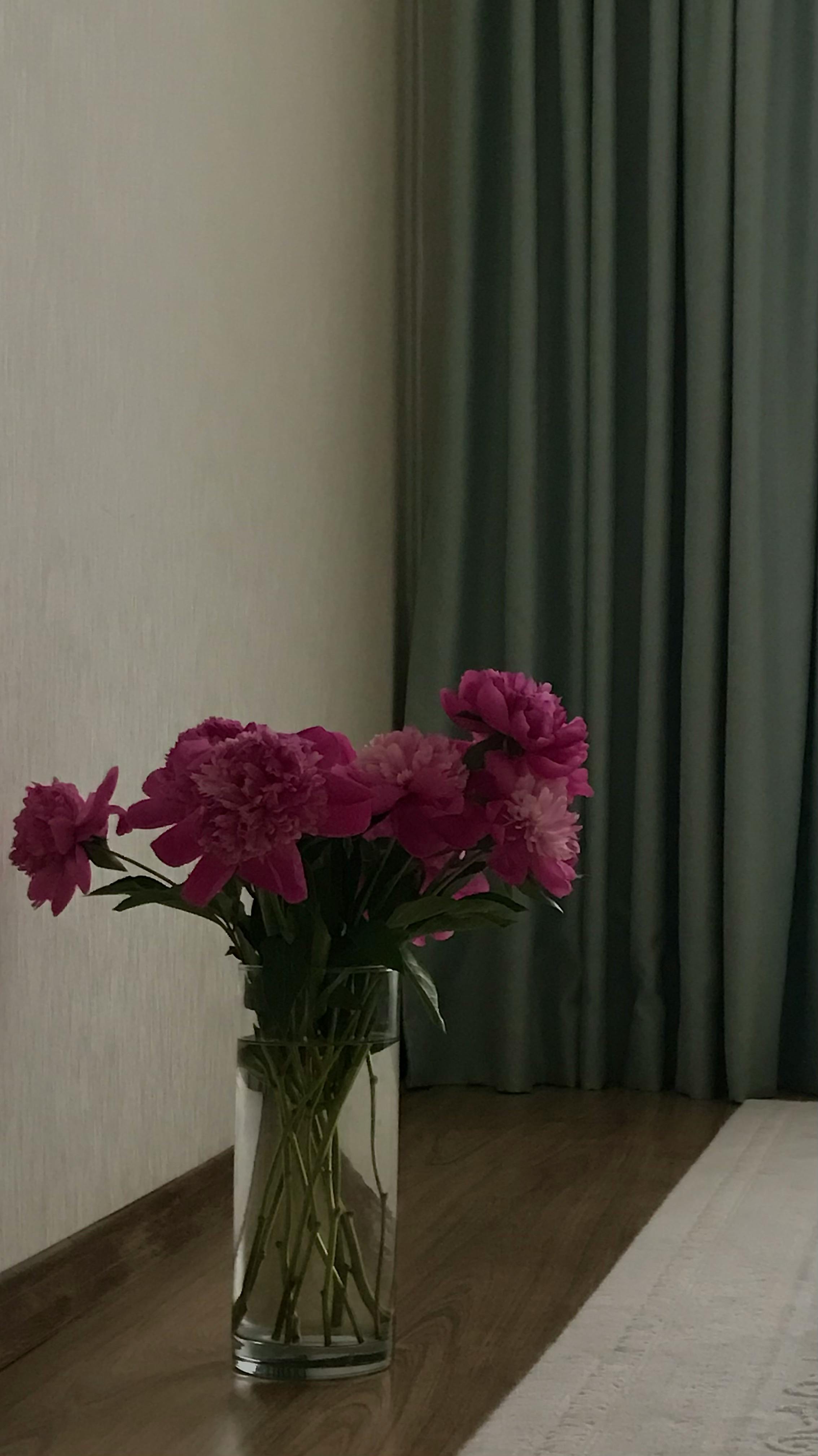 Home Decoration