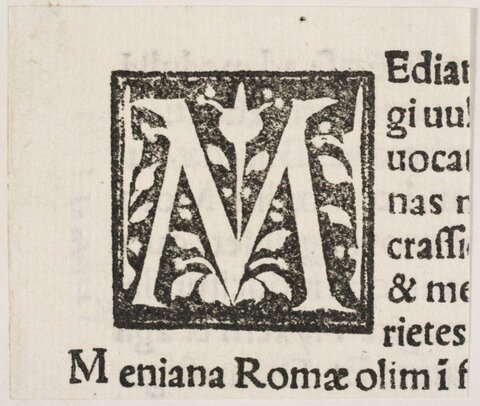 Decorative Initial Letter M