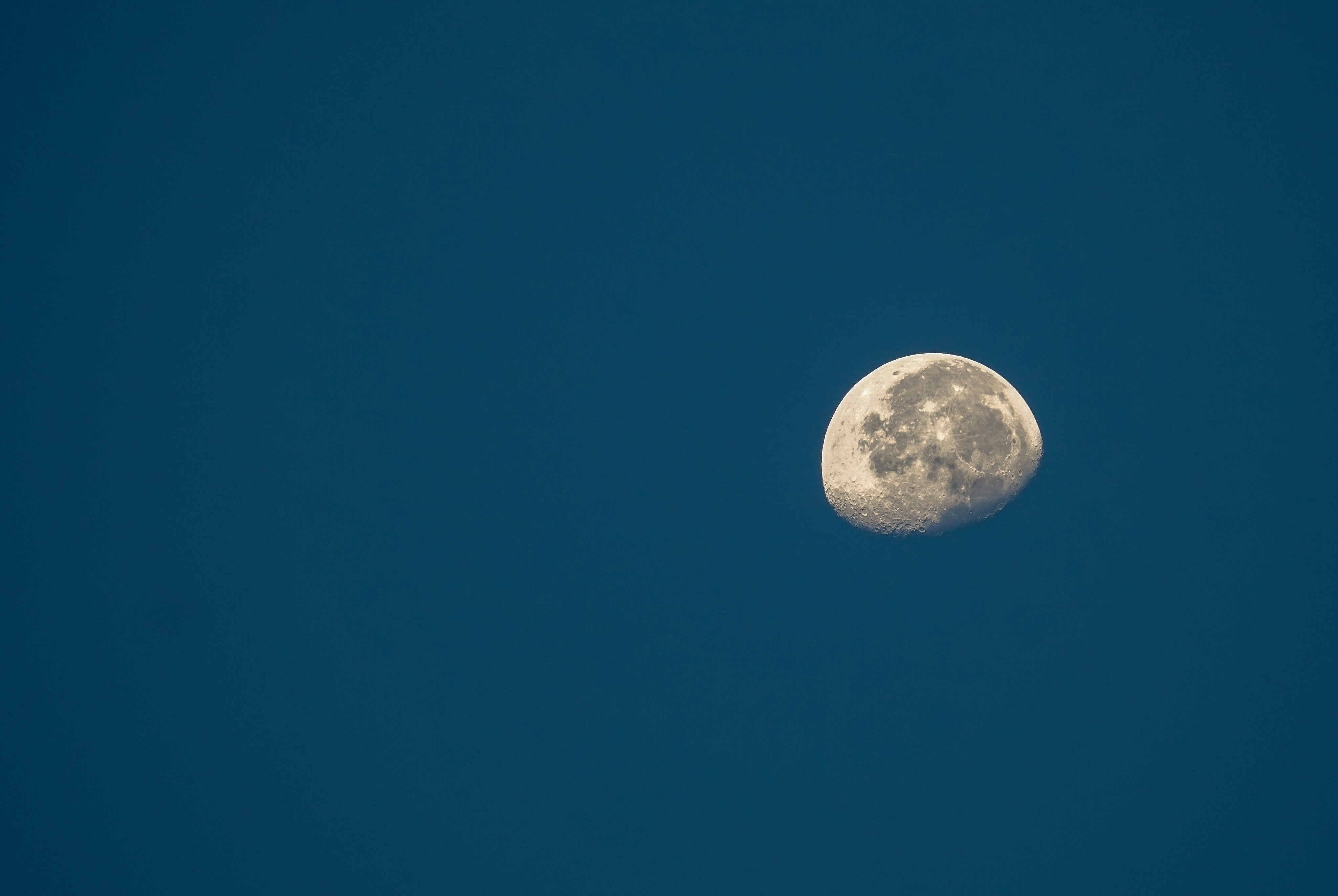 Gibbous Moon In Blue Sky