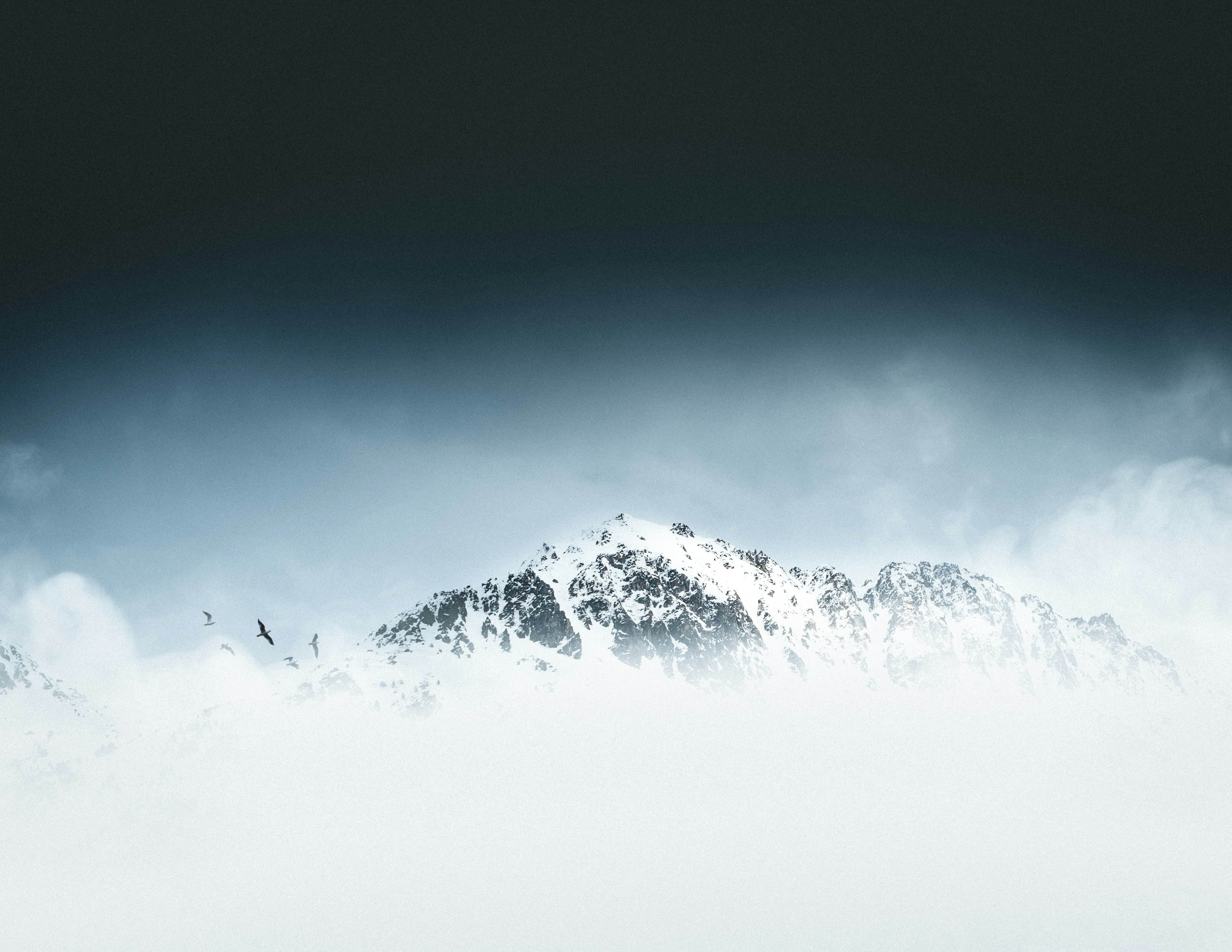 Snow-capped Peak with Flying Birds