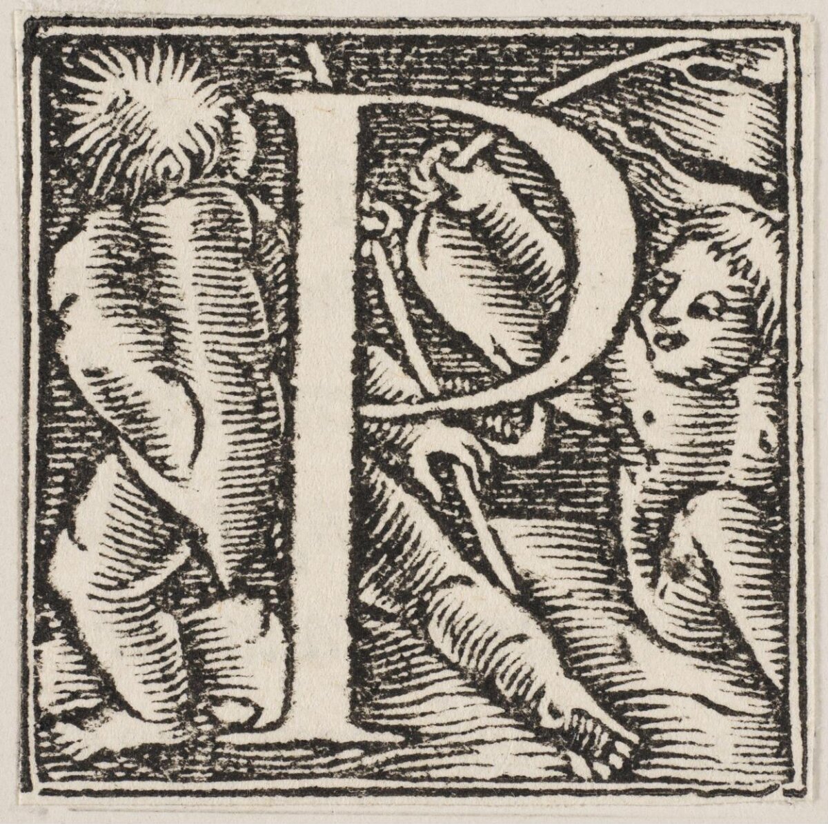 Woodcut Ornate Initial Letter D
