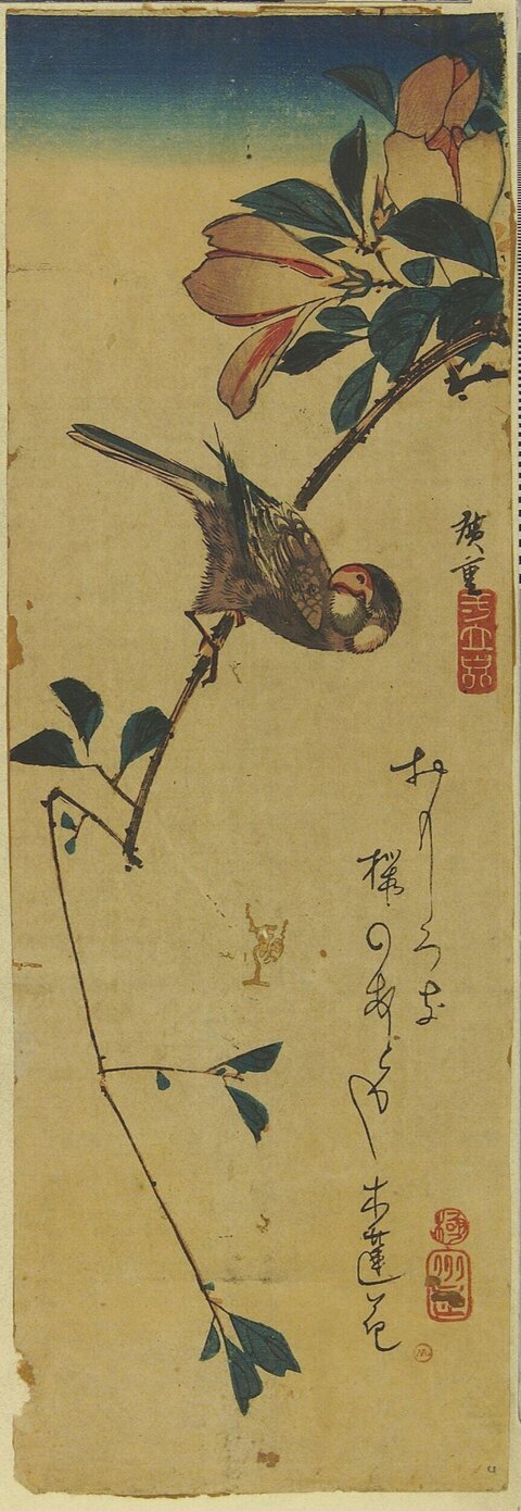 Songbird on Flowering Branch Ukiyo-e Print