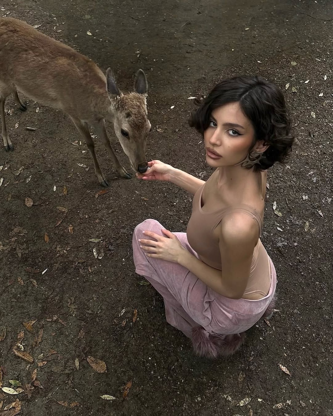 Forest & Flora