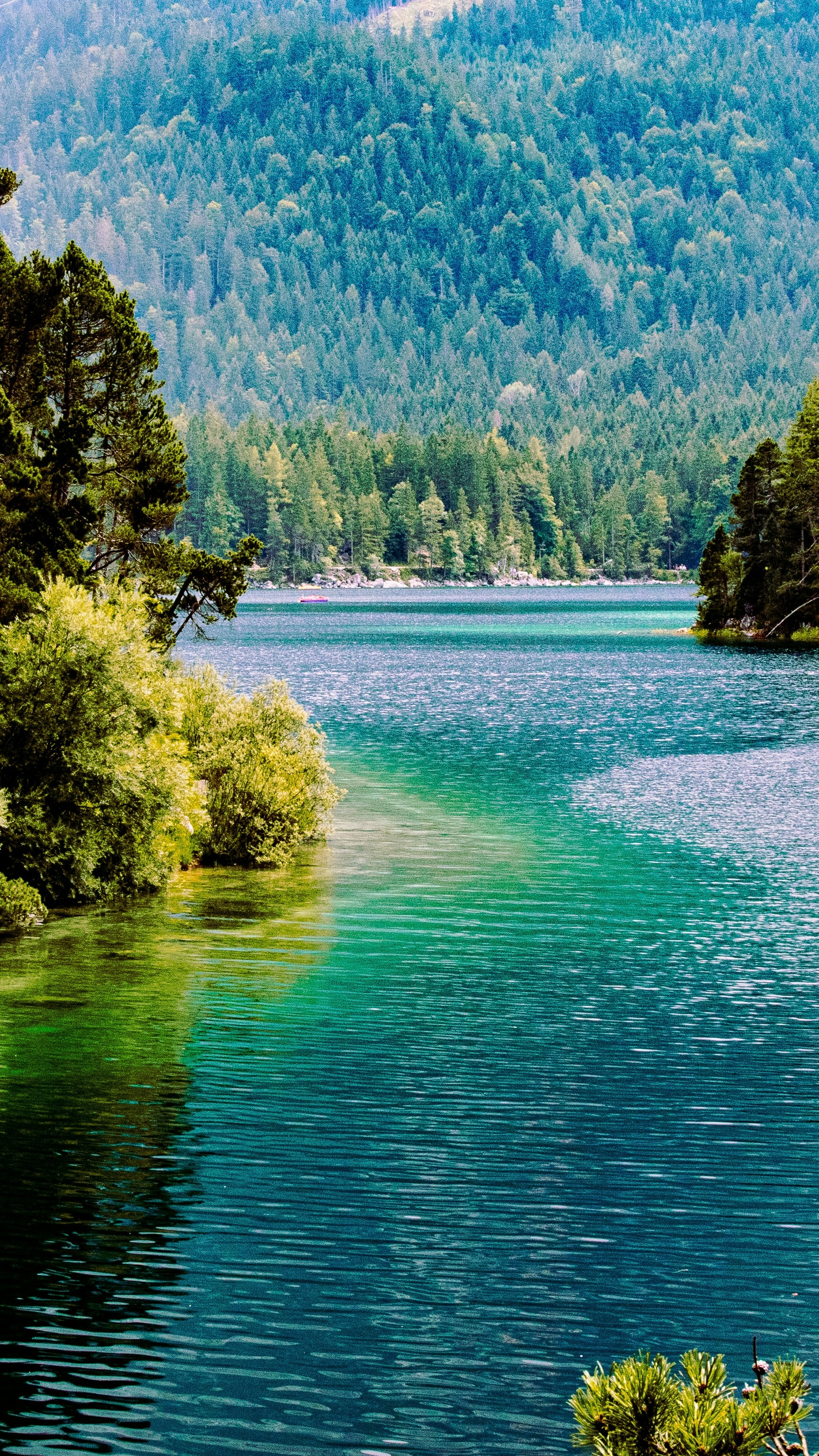 Mountain Lake Surrounded by Forest