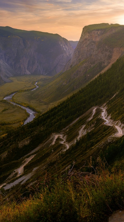 Image 1575712 — Nature