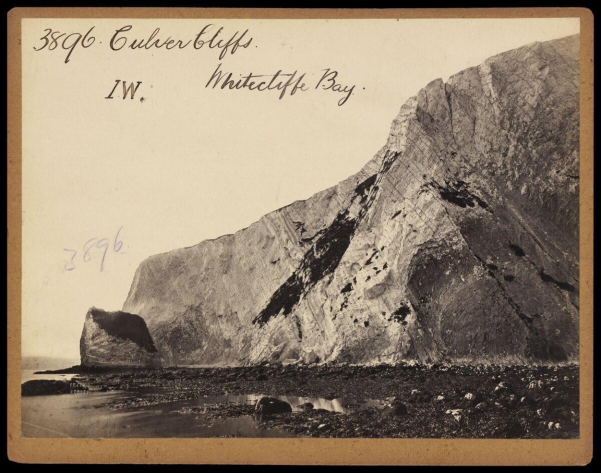 Culver Cliffs at Whitecliffe Bay